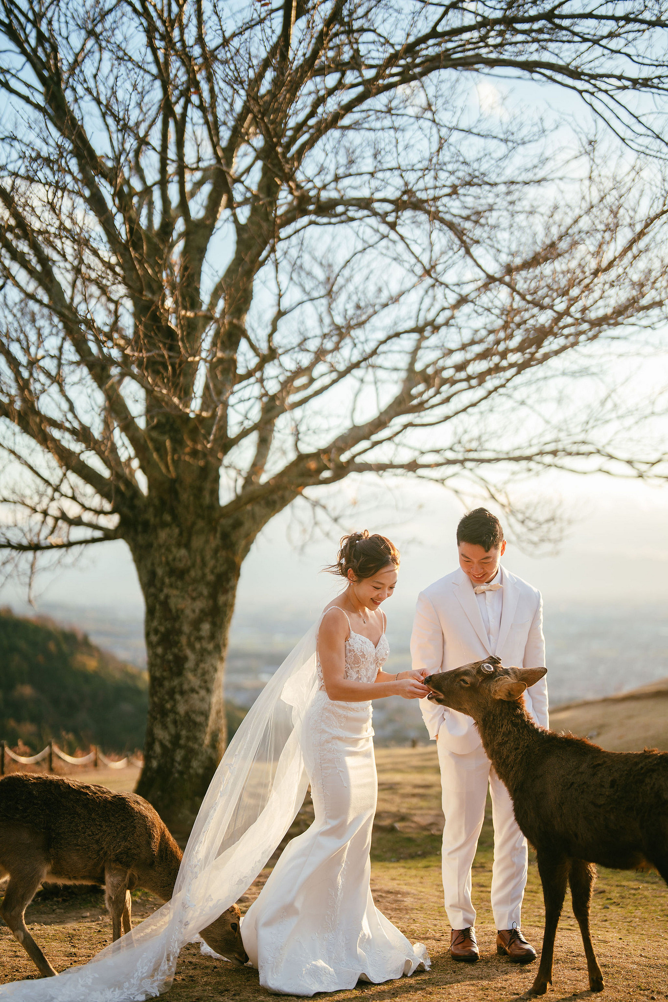 Kyoto Pre-Wedding Photoshoot | Ninenzaka, Nara Deer Park & Mt. Wakakusa at Mt. Wakakusa pre-wedding photo