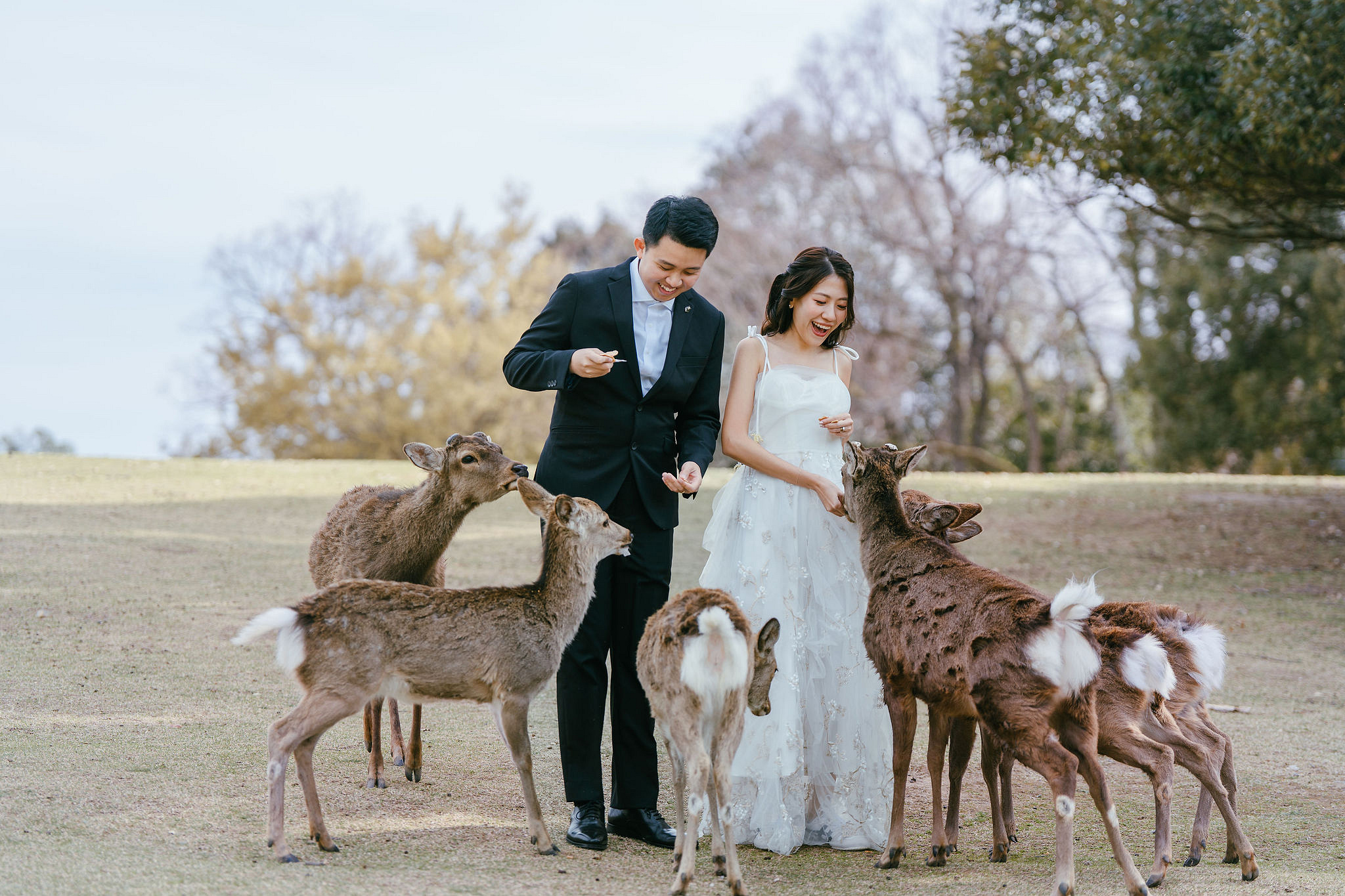 Kyoto Pre-Wedding Photoshoot | Nara Park, Gion & Mount Wakakusa at Nara Park pre-wedding photo