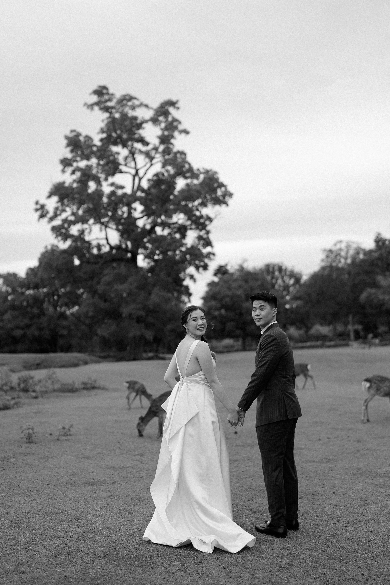 Kyoto Pre-Wedding Photoshoot | Fushimi Inari, Gion & Nara Park at Nara Park & Surrounding Hills pre-wedding photo