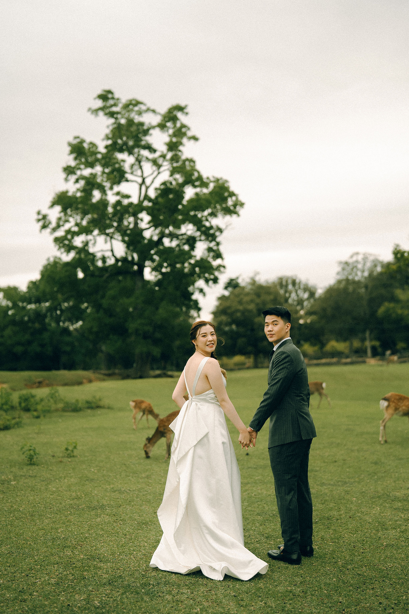 Kyoto Pre-Wedding Photoshoot | Fushimi Inari, Gion & Nara Park at Nara Park & Surrounding Hills pre-wedding photo