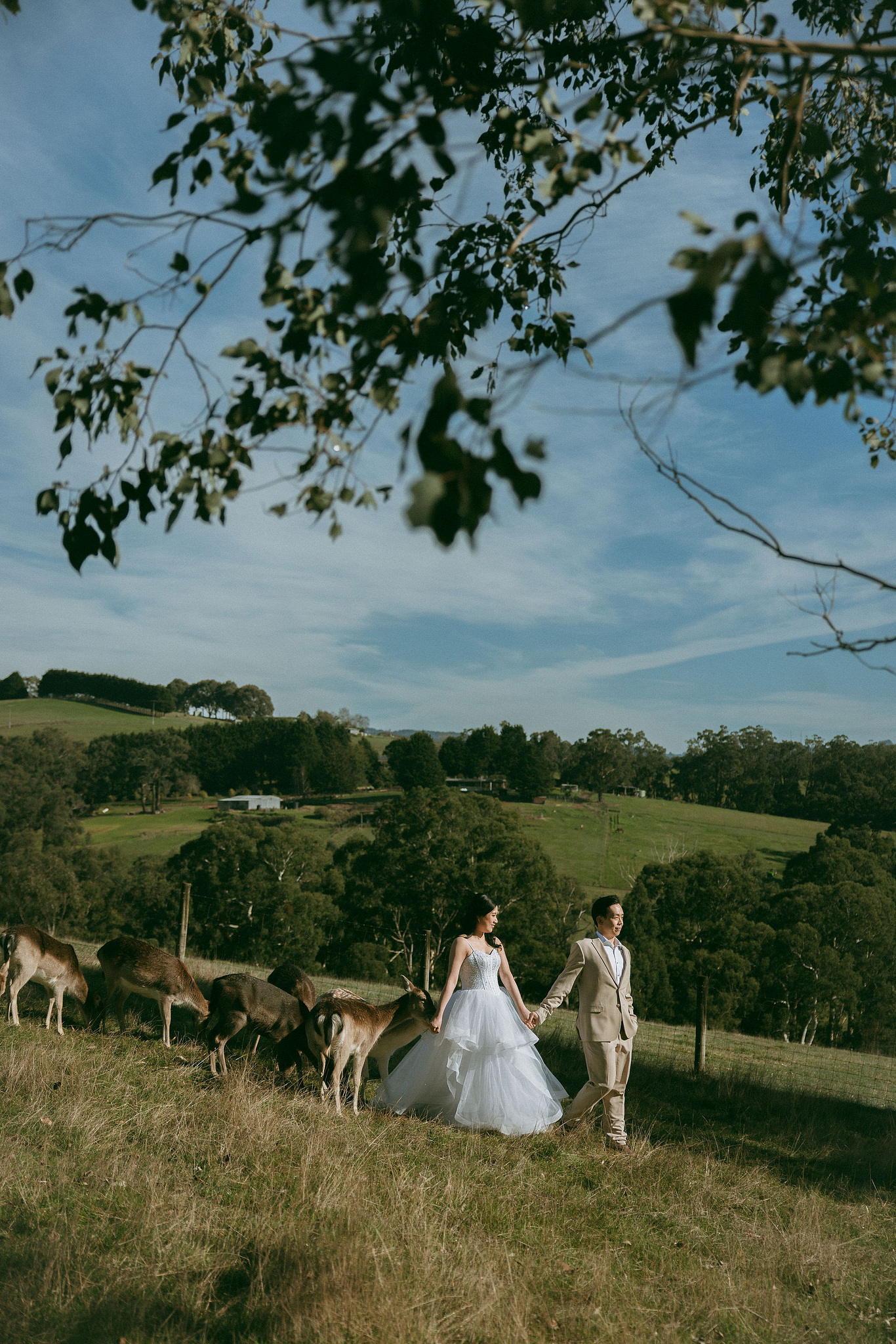 Melbourne Pre-Wedding Photoshoot | Gum Gully Farm, Studley Park & Carlton Gardens at Gum Gully Farm pre-wedding photo