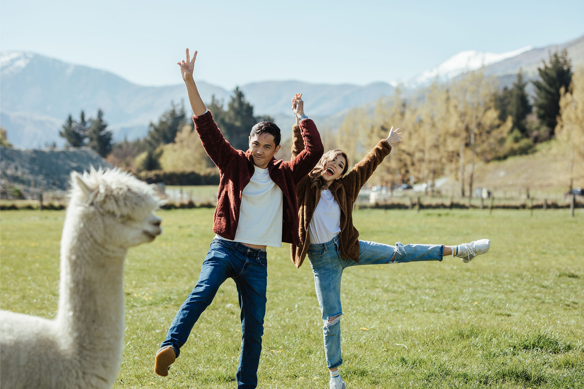 Kryz Uy And Slater Pre Wedding Photoshoot At Roy's Peak, Alpaca Farm And Arrowtown at Alpaca Farm pre-wedding photo