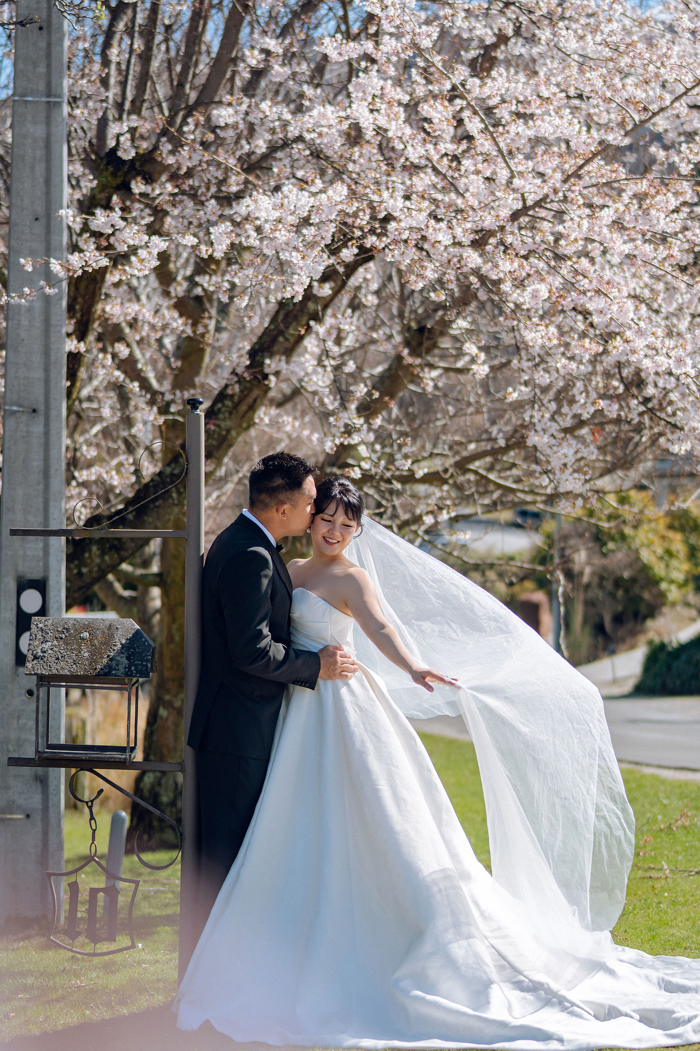 New Zealand Pre-Wedding Photoshoot | Lake Tekapo, Mount Cook, Tasman Glacier & Lake Wakatipu at Spring Blossom Path pre-wedding photo