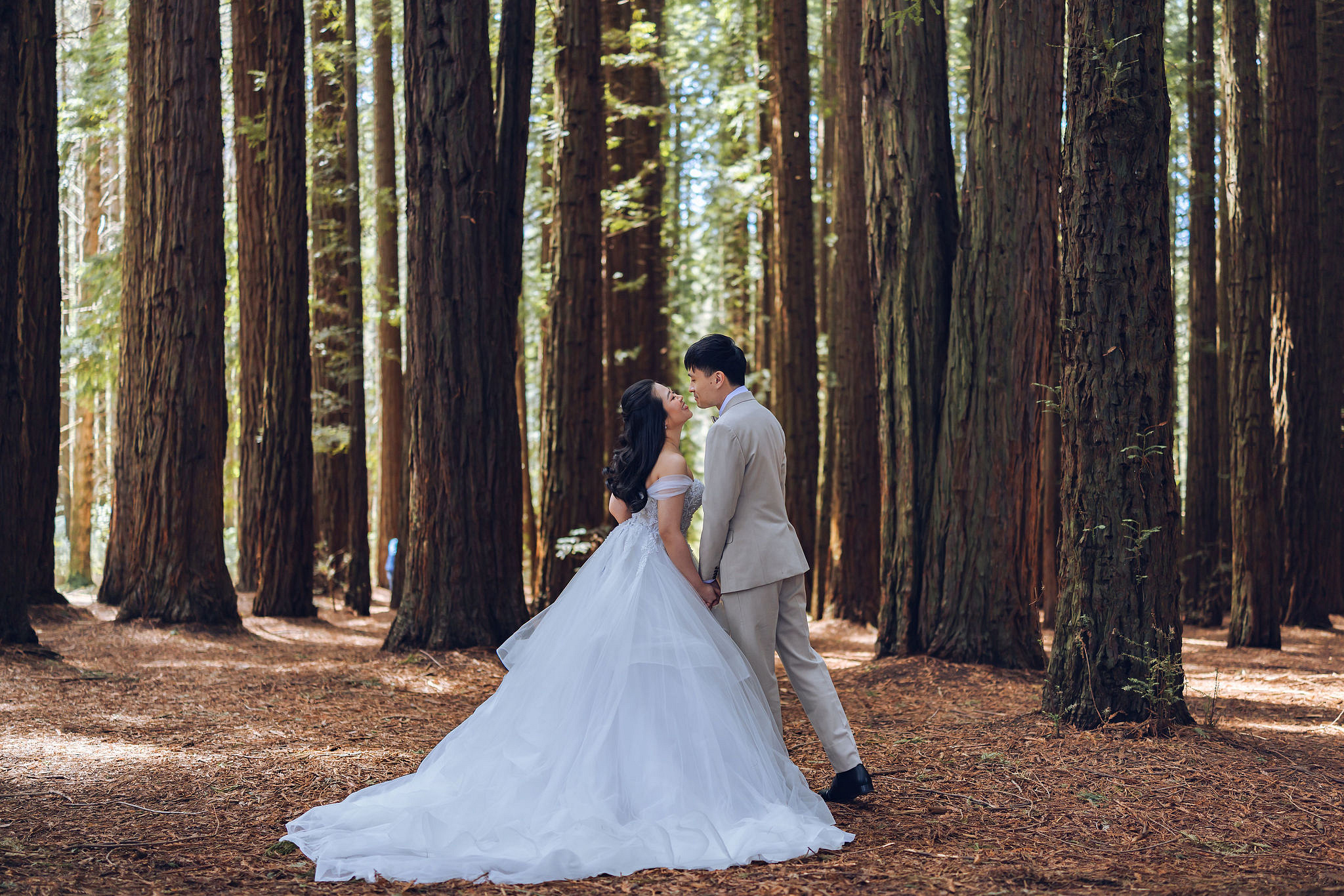 Melbourne Pre-Wedding Photoshoot | Redwood Forest, The Farm & Half Moon Bay at Redwood Forest pre-wedding photo