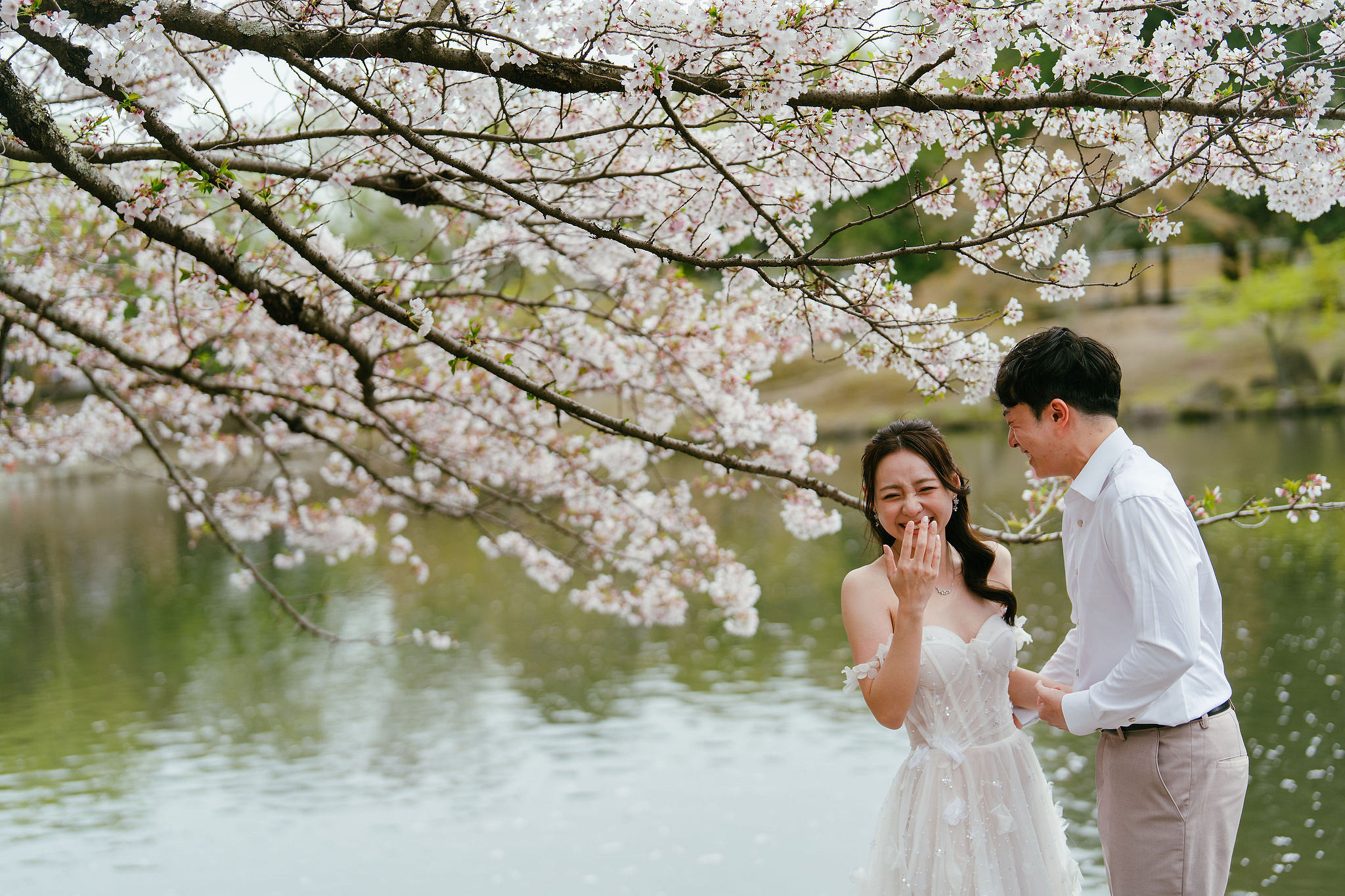 Kyoto Pre-Wedding Photoshoot | Fushimi Inari, Nara Deer Park & Mt. Wakakusa at Nara Deer Park pre-wedding photo