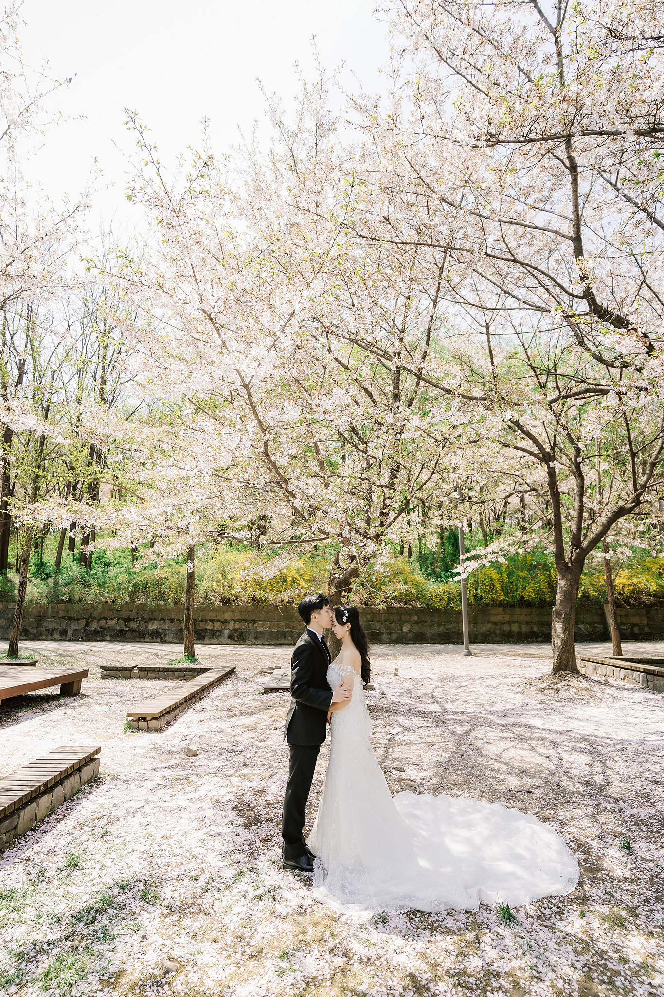 Seoul Pre-Wedding Photoshoot | Seoul Forest, Namsan Tower & Namsangol Hanok Village at Seoul Forest pre-wedding photo