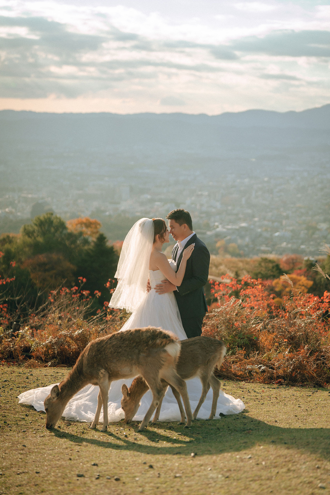 Kyoto Pre-Wedding Photoshoot | Arashiyama River, Arashiyama Temple & Mt. Wakakusa at Mt. Wakakusa pre-wedding photo