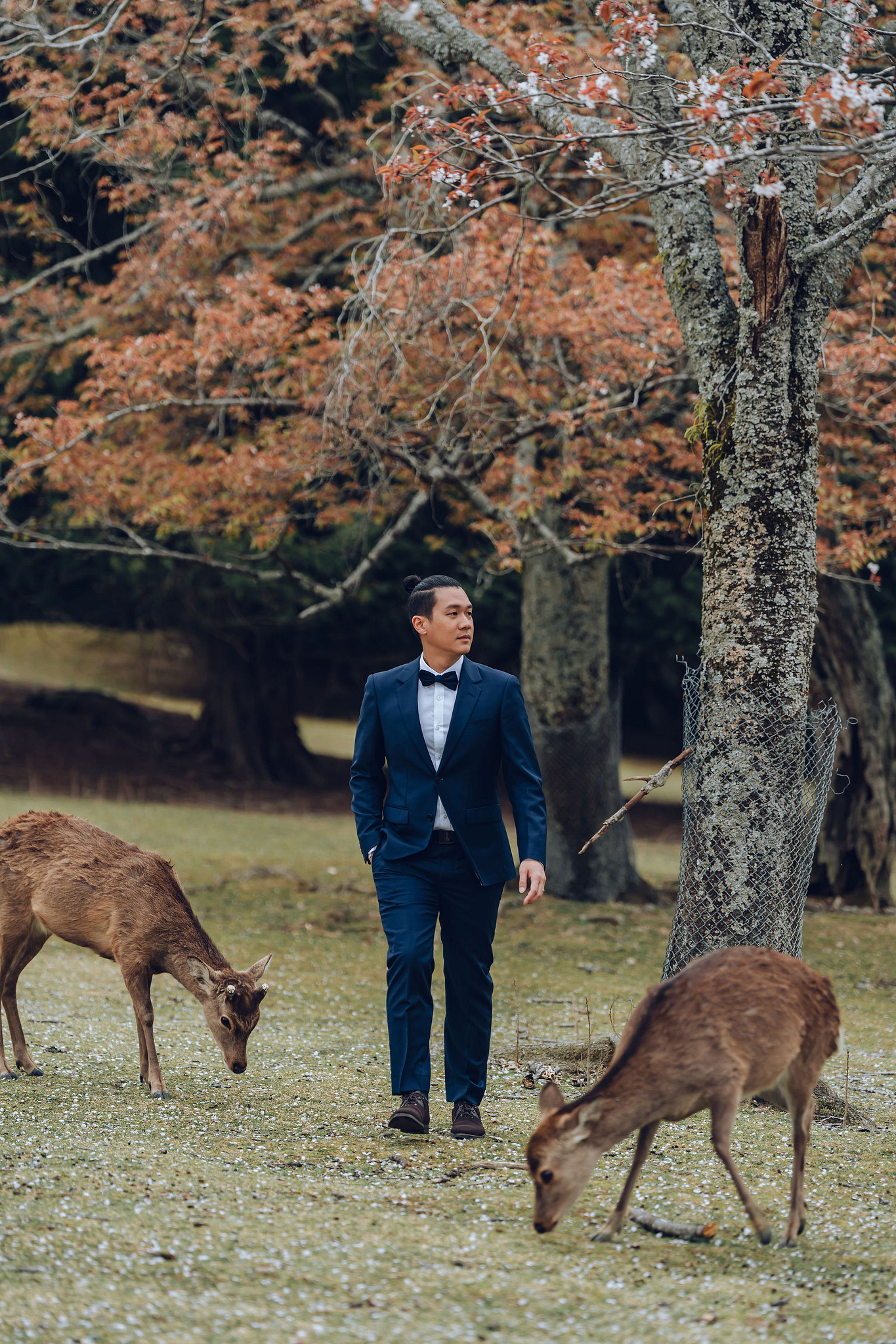 Kyoto Pre-Wedding Photoshoot | Historic Higashiyama Streets, Keage Incline & Nara Park at Nara Park pre-wedding photo