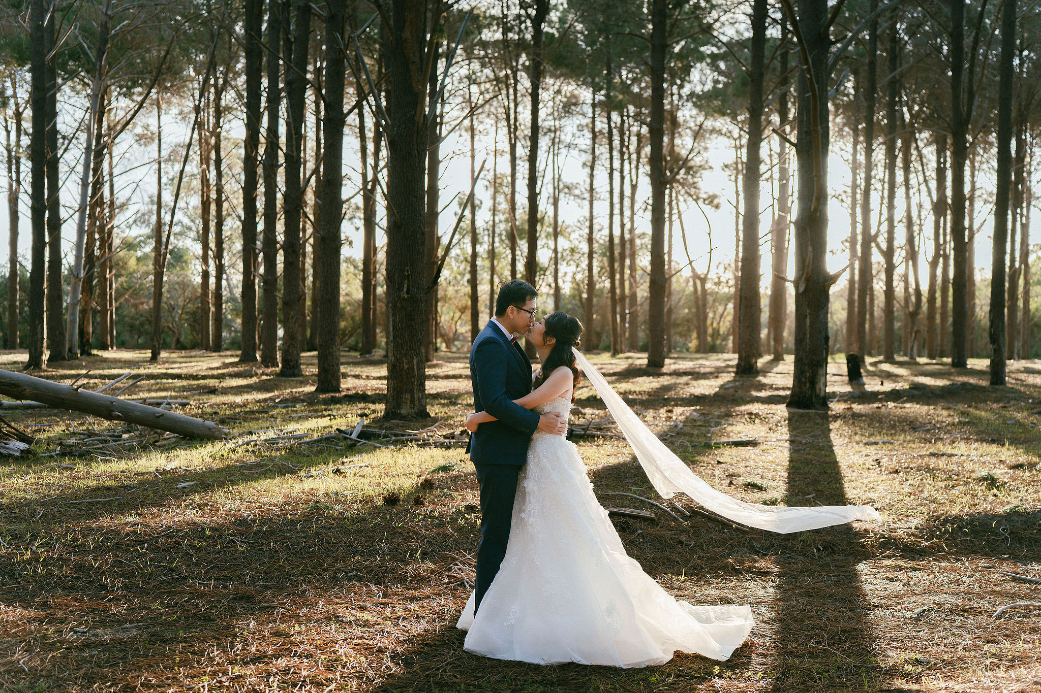 Perth Pre-Wedding Photoshoot | State Buildings & Wanneroo Pines at Wanneroo Pines pre-wedding photo