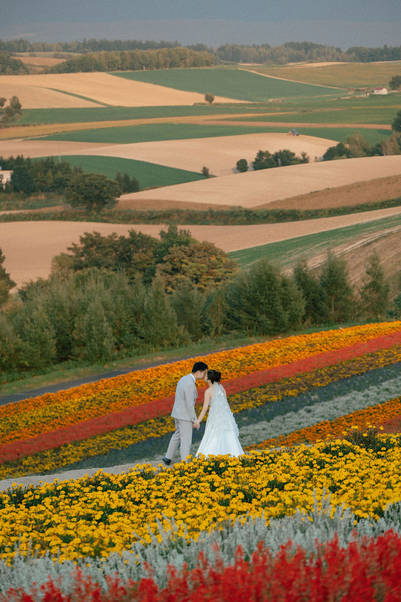 Furano, Hokkaido Pre-Wedding Photoshoot | Farm Chiyoda, Shikisai-no-oka & Ningle Terrace at Shikisai-no-oka pre-wedding photo