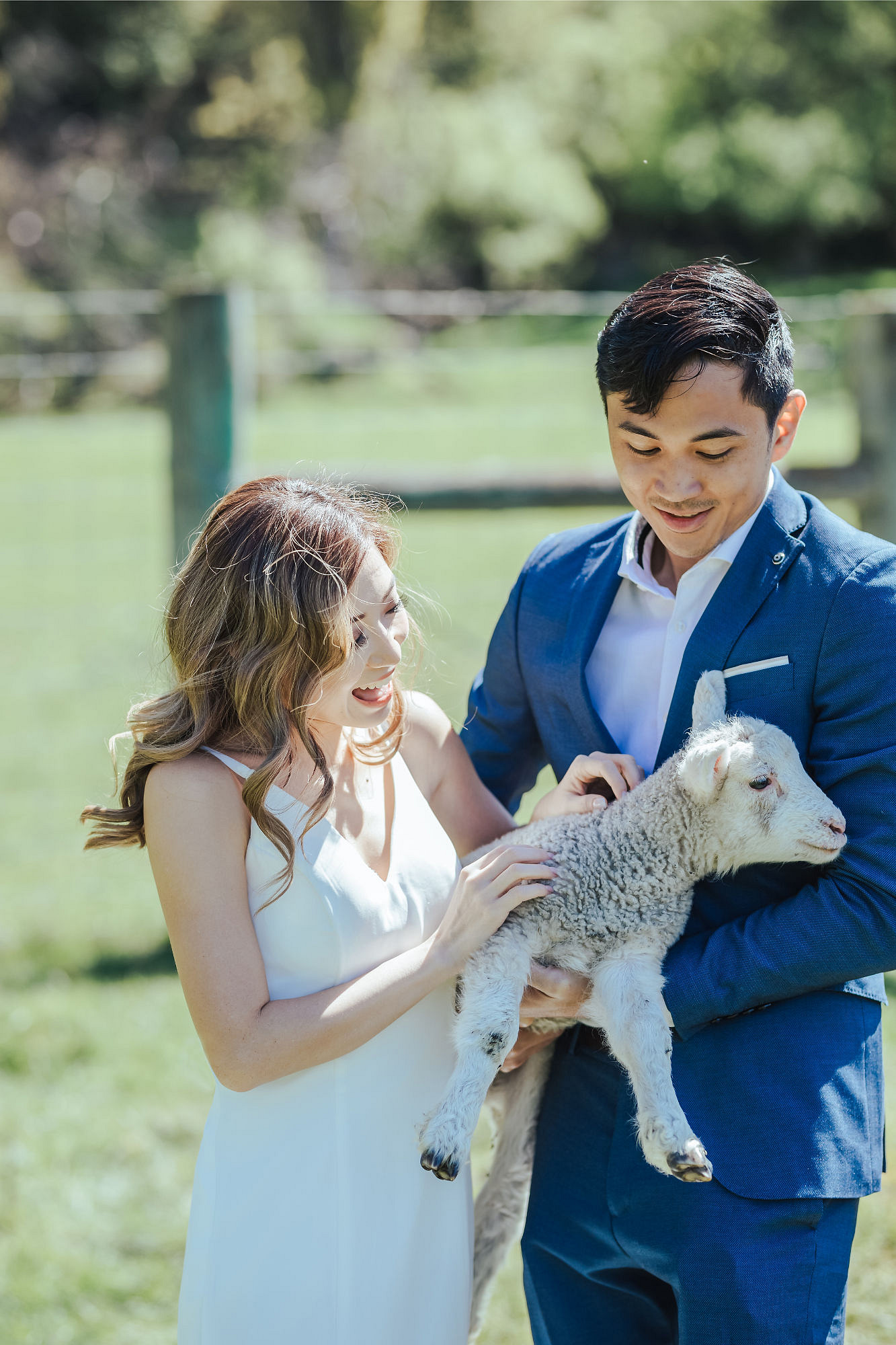 Kryz Uy And Slater Pre Wedding Photoshoot At Roy's Peak, Alpaca Farm And Arrowtown at Alpaca Farm pre-wedding photo
