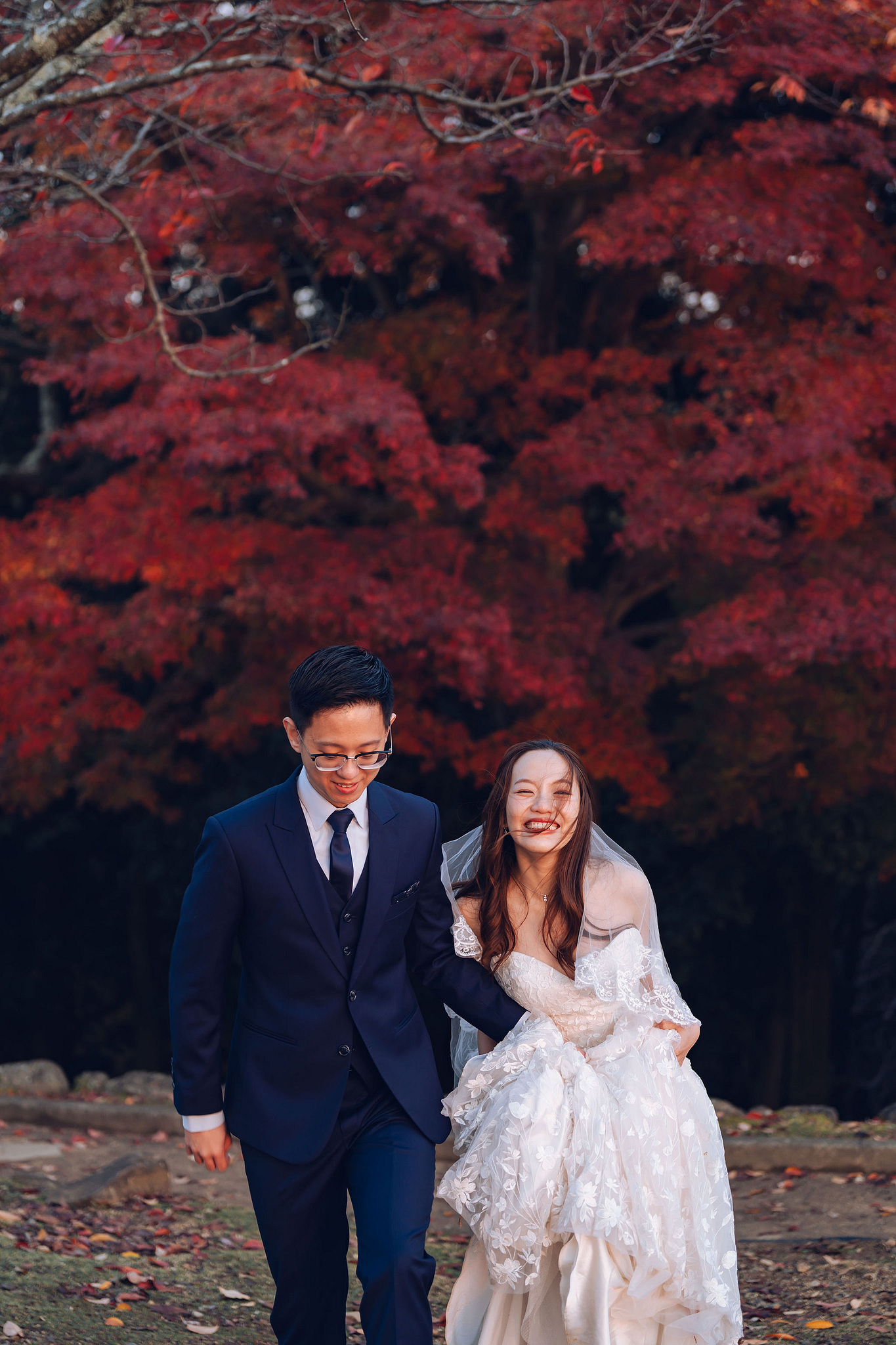 Kyoto Pre-Wedding Photoshoot | Kamo River, Nara Deer Park & Mt. Wakakusa at Nara Deer Park pre-wedding photo