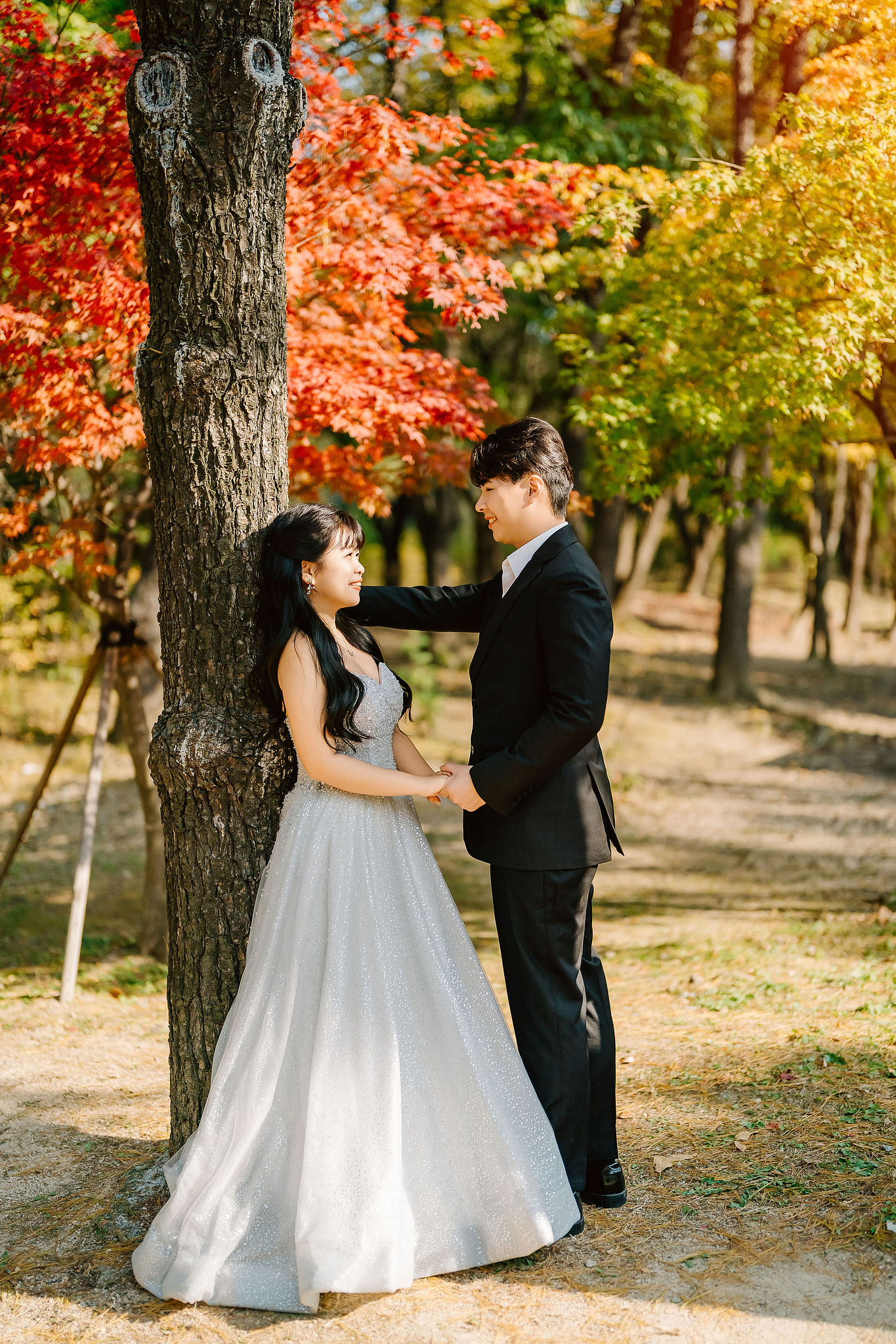 Seoul Pre-Wedding Photoshoot | Muhly Park, Seoul Forest & Cafe Street` at Seoul Forest pre-wedding photo