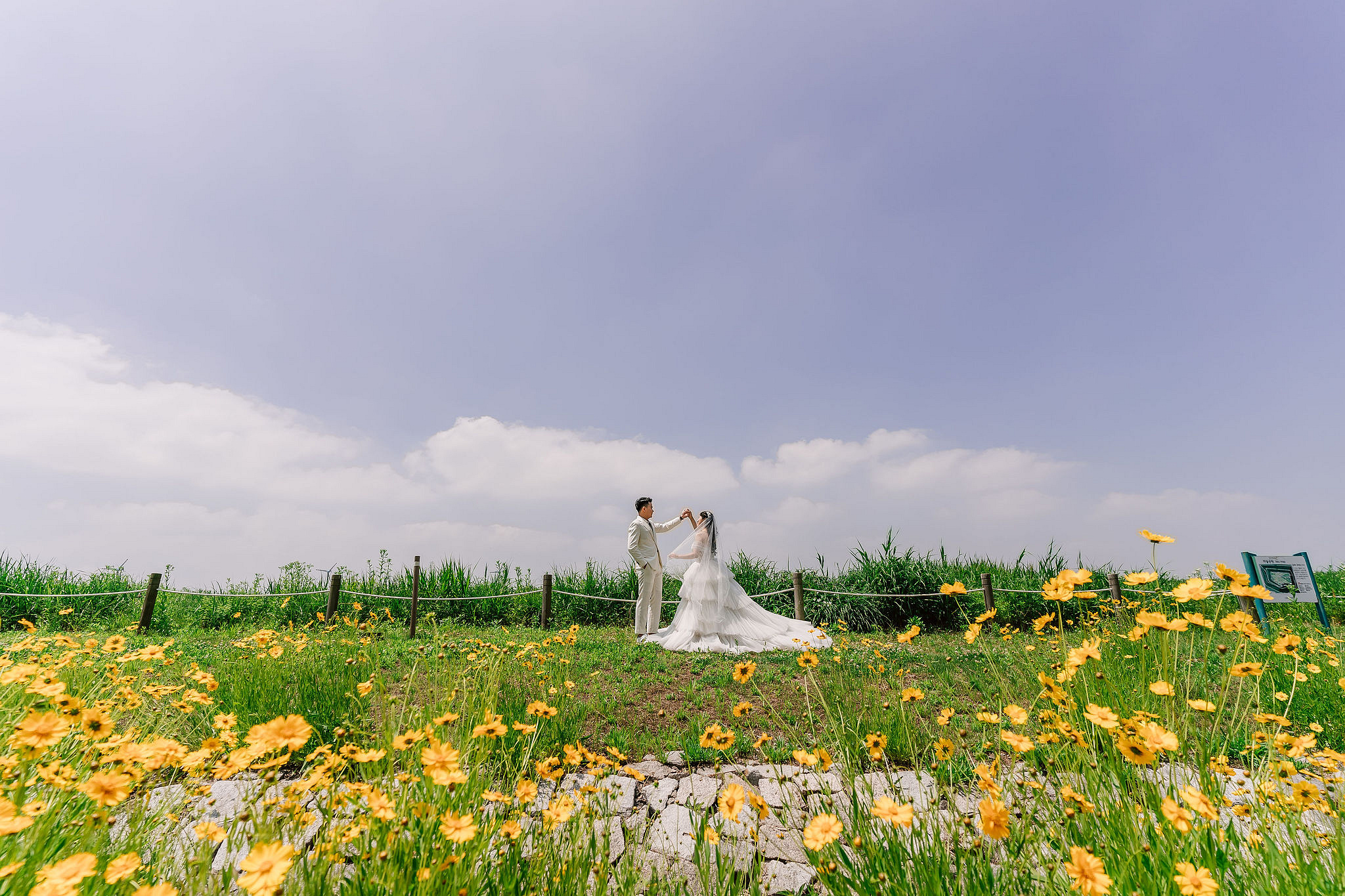 Seoul Pre-Wedding Photoshoot | Haneul Park, Yonsei University & Yeonnam-dong at Haneul Park pre-wedding photo