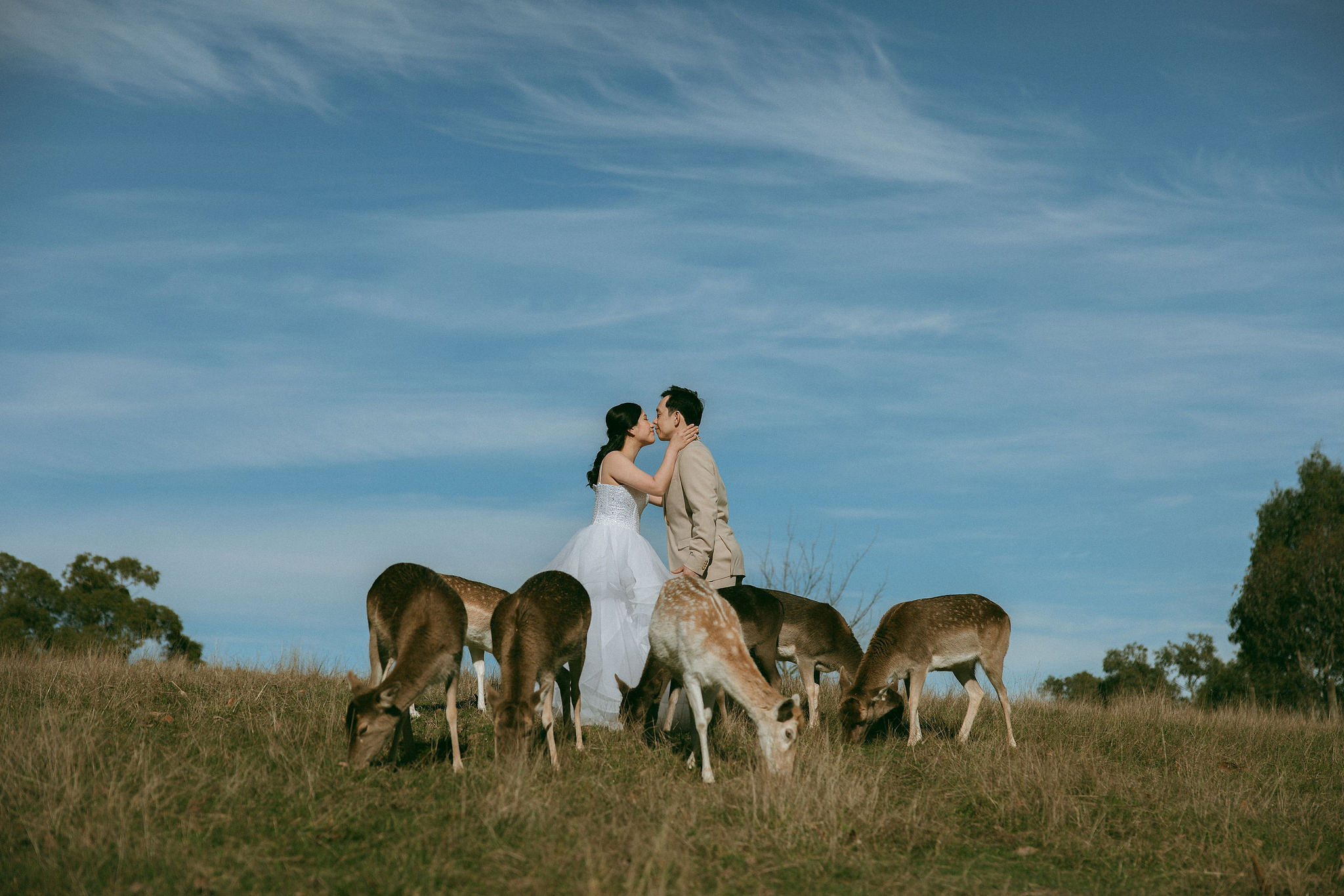 Melbourne Pre-Wedding Photoshoot | Gum Gully Farm, Studley Park & Carlton Gardens at Gum Gully Farm pre-wedding photo