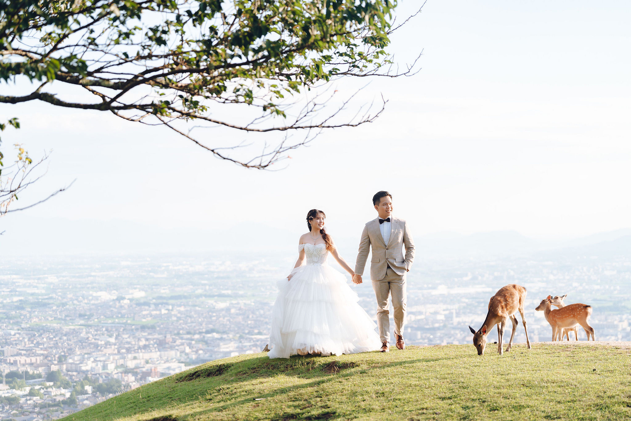 Kyoto Pre-Wedding Photoshoot | Gion Streets, Higashiyama & Nara Park at Nara Park Lawns pre-wedding photo
