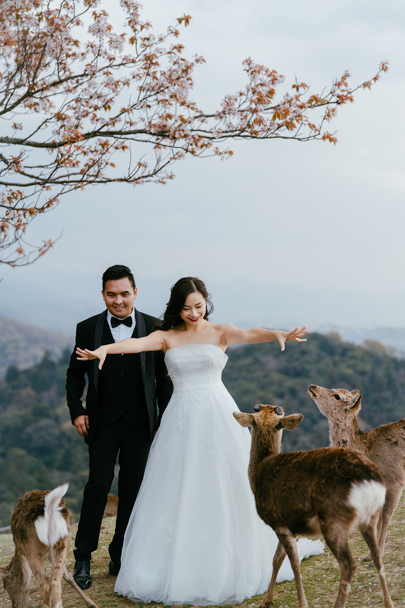 Kyoto Pre-Wedding Photoshoot | Gion Canal, Ninenzaka & Mount Wakakusa at Mount Wakakusa, Nara pre-wedding photo