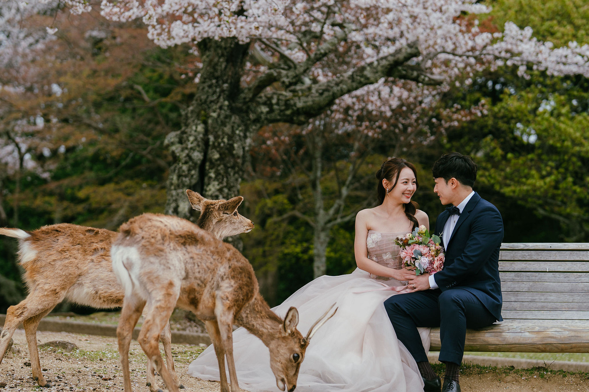 Kyoto Pre-Wedding Photoshoot | Fushimi Inari, Nara Deer Park & Mt. Wakakusa at Mt. Wakakusa pre-wedding photo