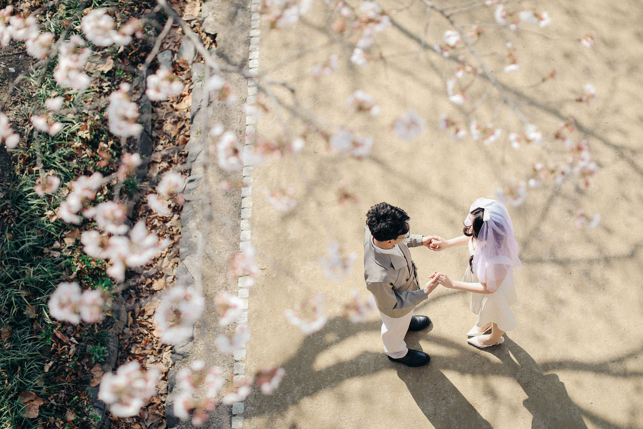 Seoul Proposal Photoshoot | Seoul Forest Pre-wedding at Seoul Forest pre-wedding photo