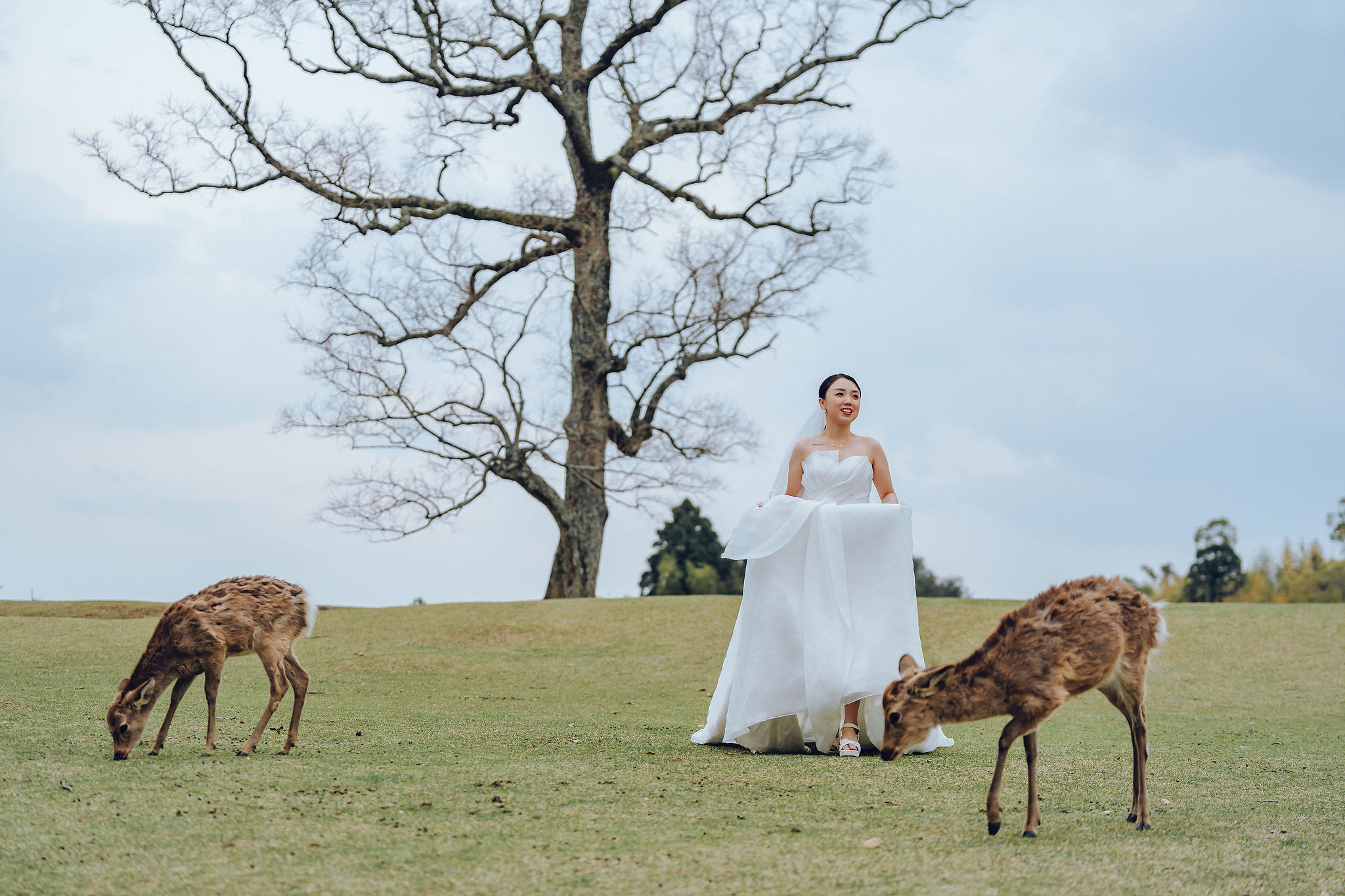 Kyoto Pre-Wedding Photoshoot | Historic Higashiyama Streets, Keage Incline & Nara Park at Nara Park pre-wedding photo