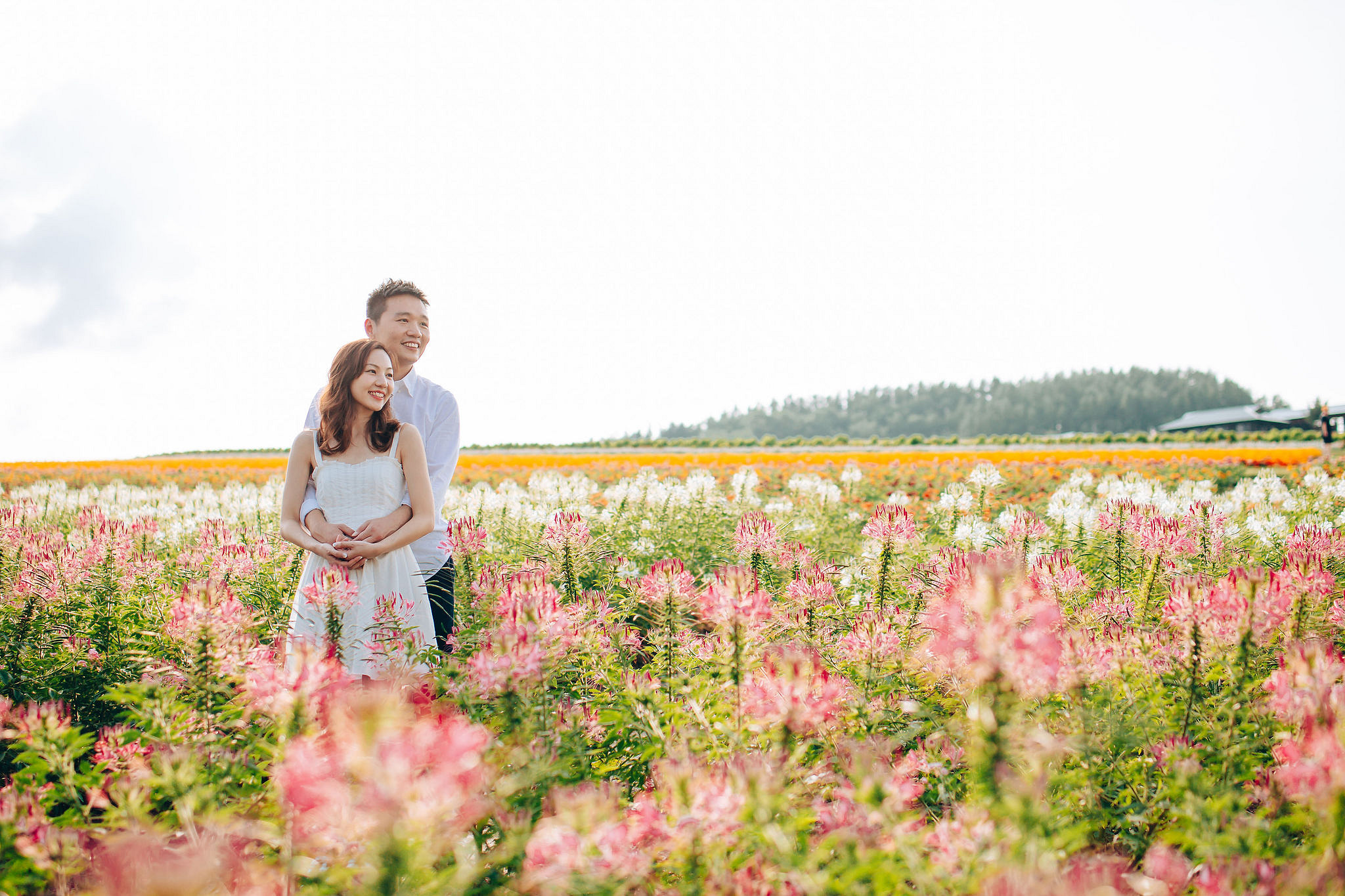Hokkaido Summer Rainbow Flowers and Railway Track Japan Prewedding Photoshoot at Furano pre-wedding photo