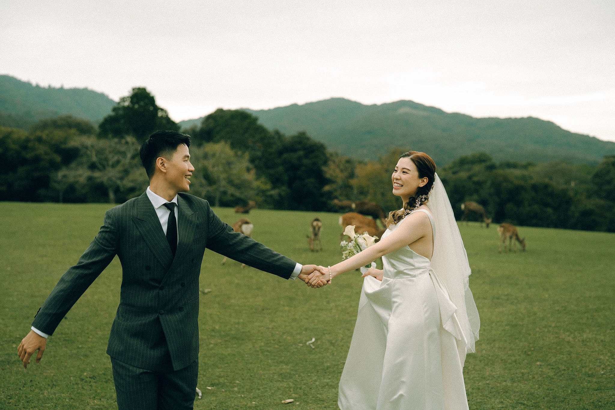 Kyoto Pre-Wedding Photoshoot | Fushimi Inari, Gion & Nara Park at Nara Park & Surrounding Hills pre-wedding photo