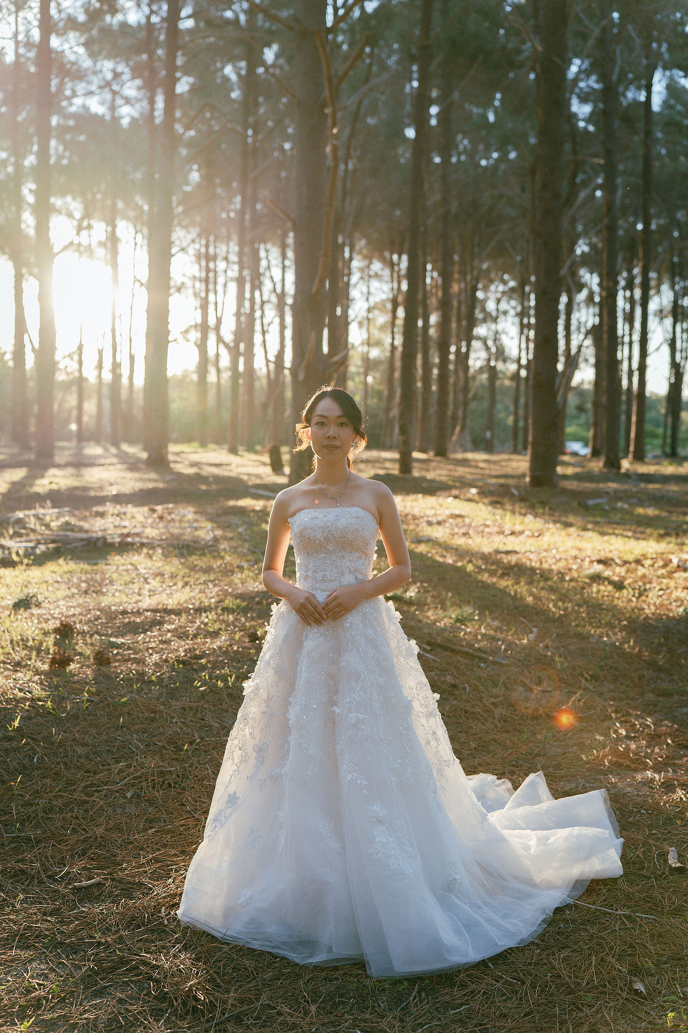 Perth Pre-Wedding Photoshoot | State Buildings & Wanneroo Pines at Wanneroo Pines pre-wedding photo