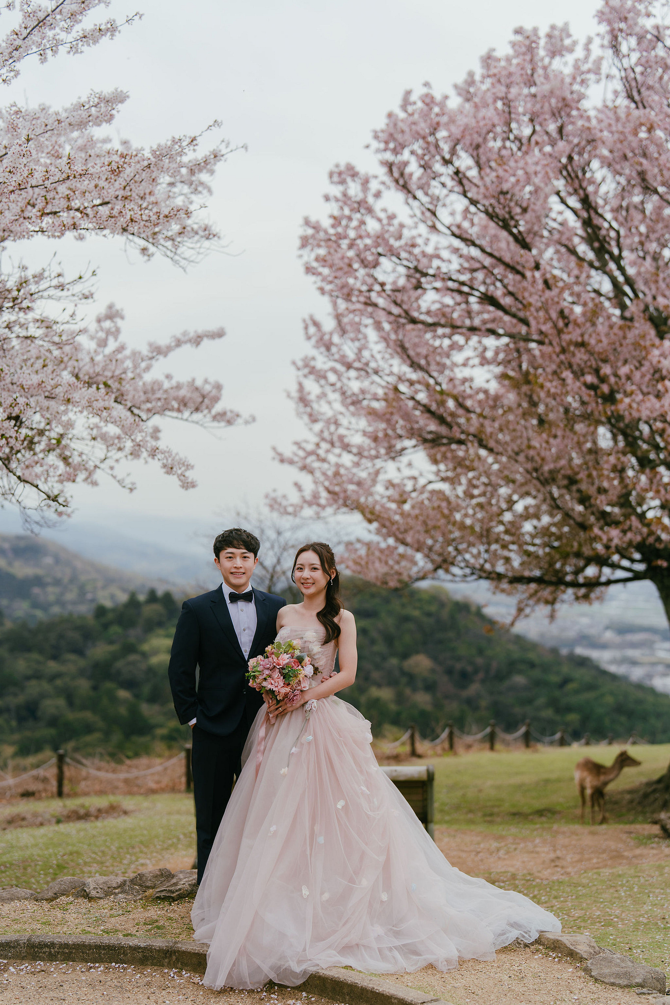 Kyoto Pre-Wedding Photoshoot | Fushimi Inari, Nara Deer Park & Mt. Wakakusa at Mt. Wakakusa pre-wedding photo