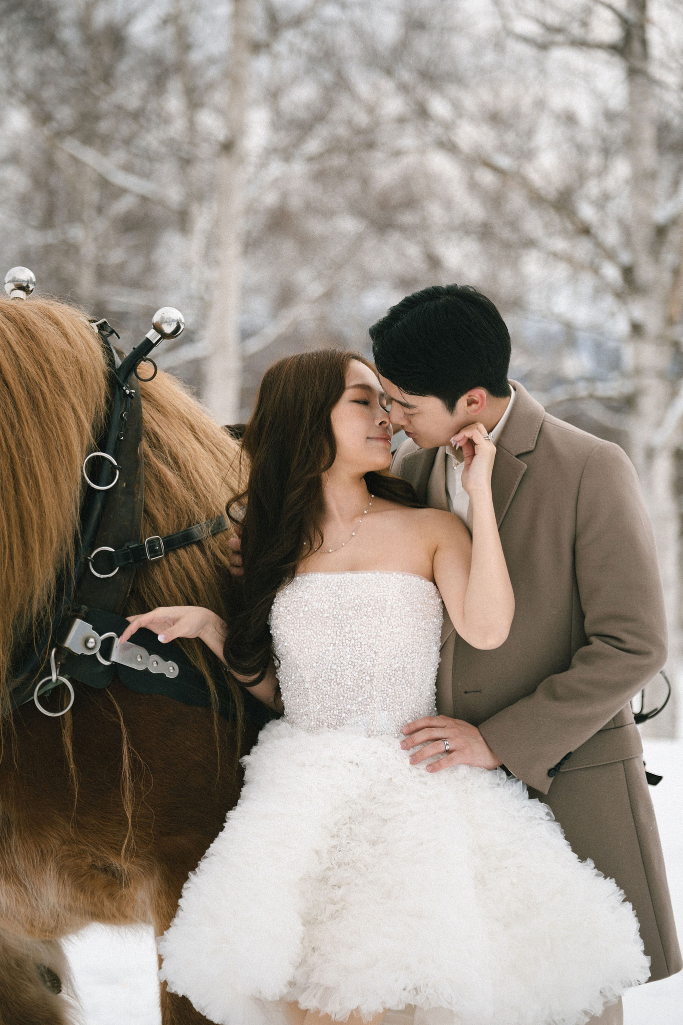Hokkaido Pre-Wedding Photoshoot | Birch Forest, Rusutsu Resort & Hirafu Village at Birch Forest pre-wedding photo