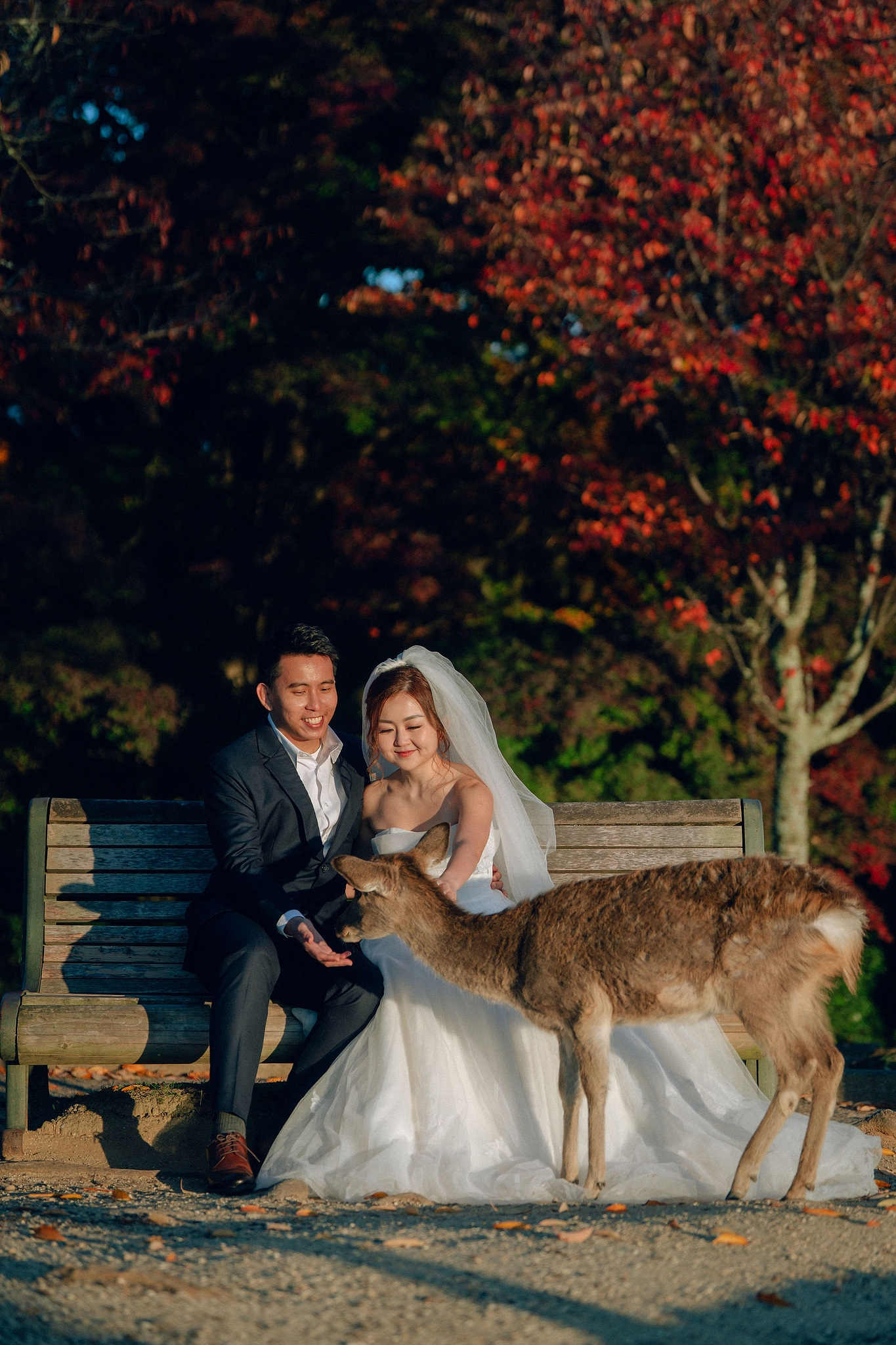 Kyoto Pre-Wedding Photoshoot | Arashiyama River, Arashiyama Temple & Mt. Wakakusa at Mt. Wakakusa pre-wedding photo