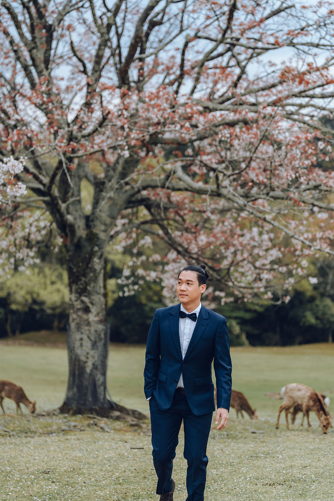 Kyoto Pre-Wedding Photoshoot | Historic Higashiyama Streets, Keage Incline & Nara Park at Nara Park pre-wedding photo