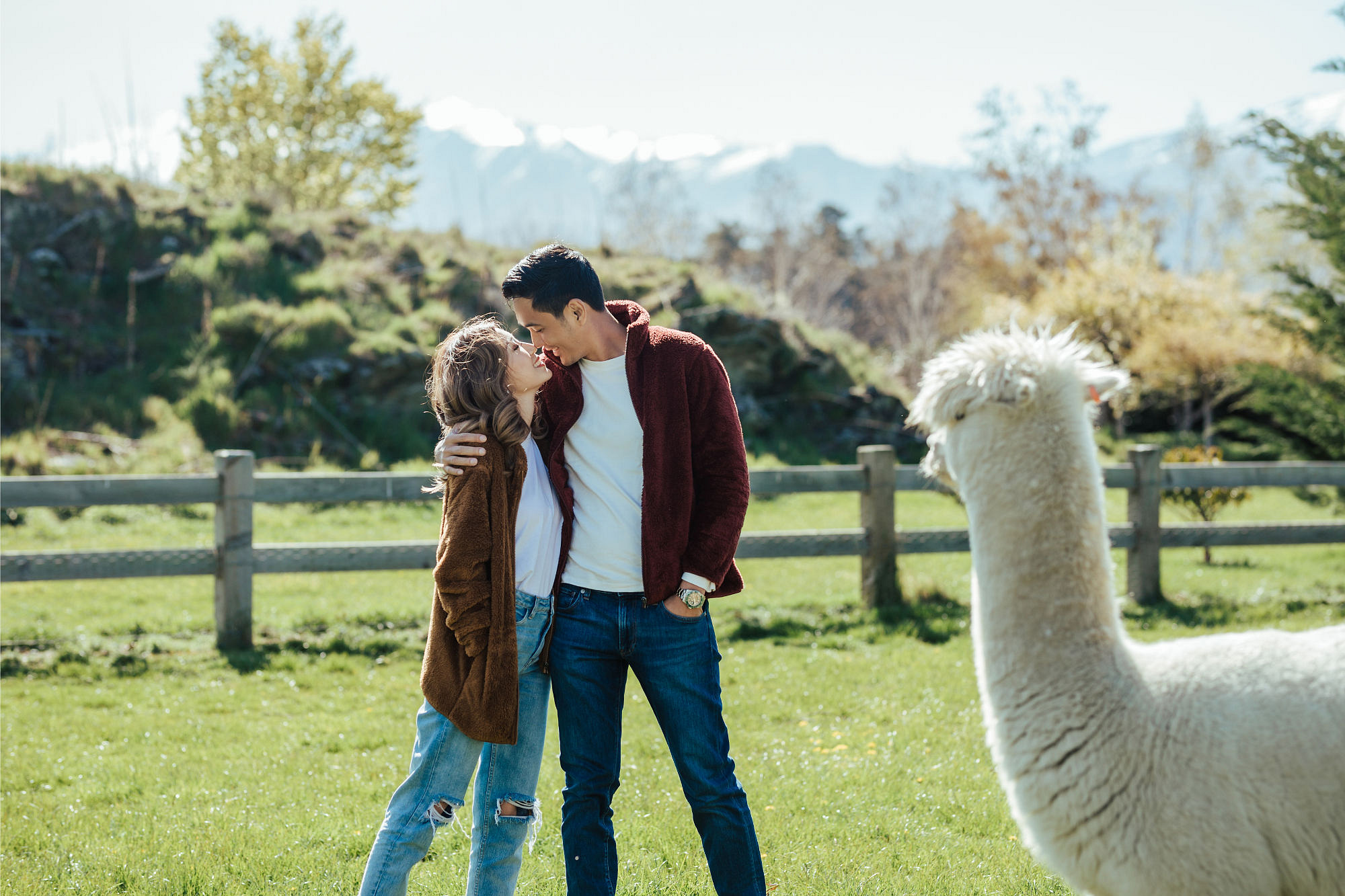 Kryz Uy And Slater Pre Wedding Photoshoot At Roy's Peak, Alpaca Farm And Arrowtown at Alpaca Farm pre-wedding photo