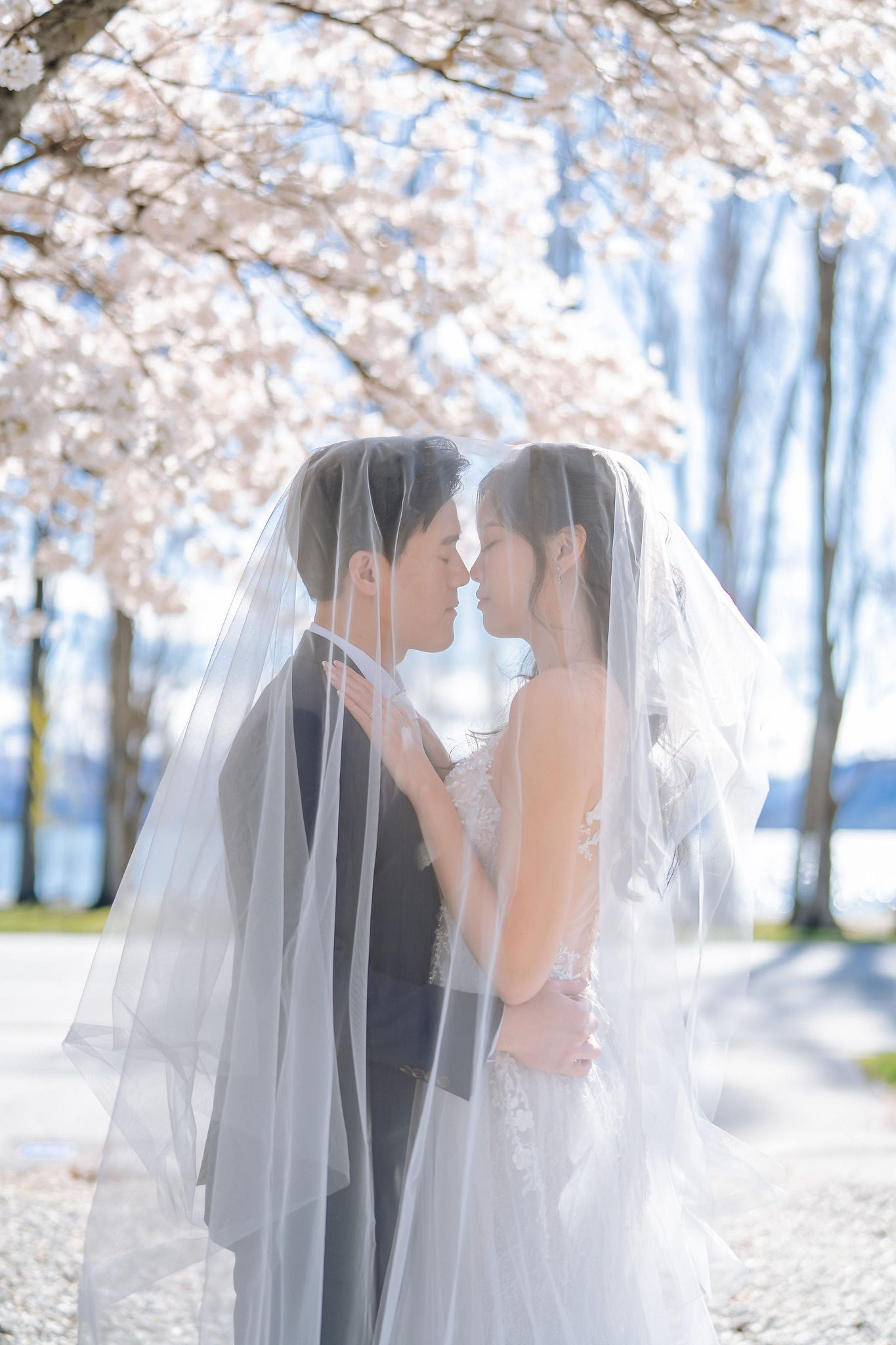 New Zealand Pre-Wedding Photoshoot | Cherry Blossoms, Coromandel Peak & Lake Wakatipu at Cherry Blossoms pre-wedding photo