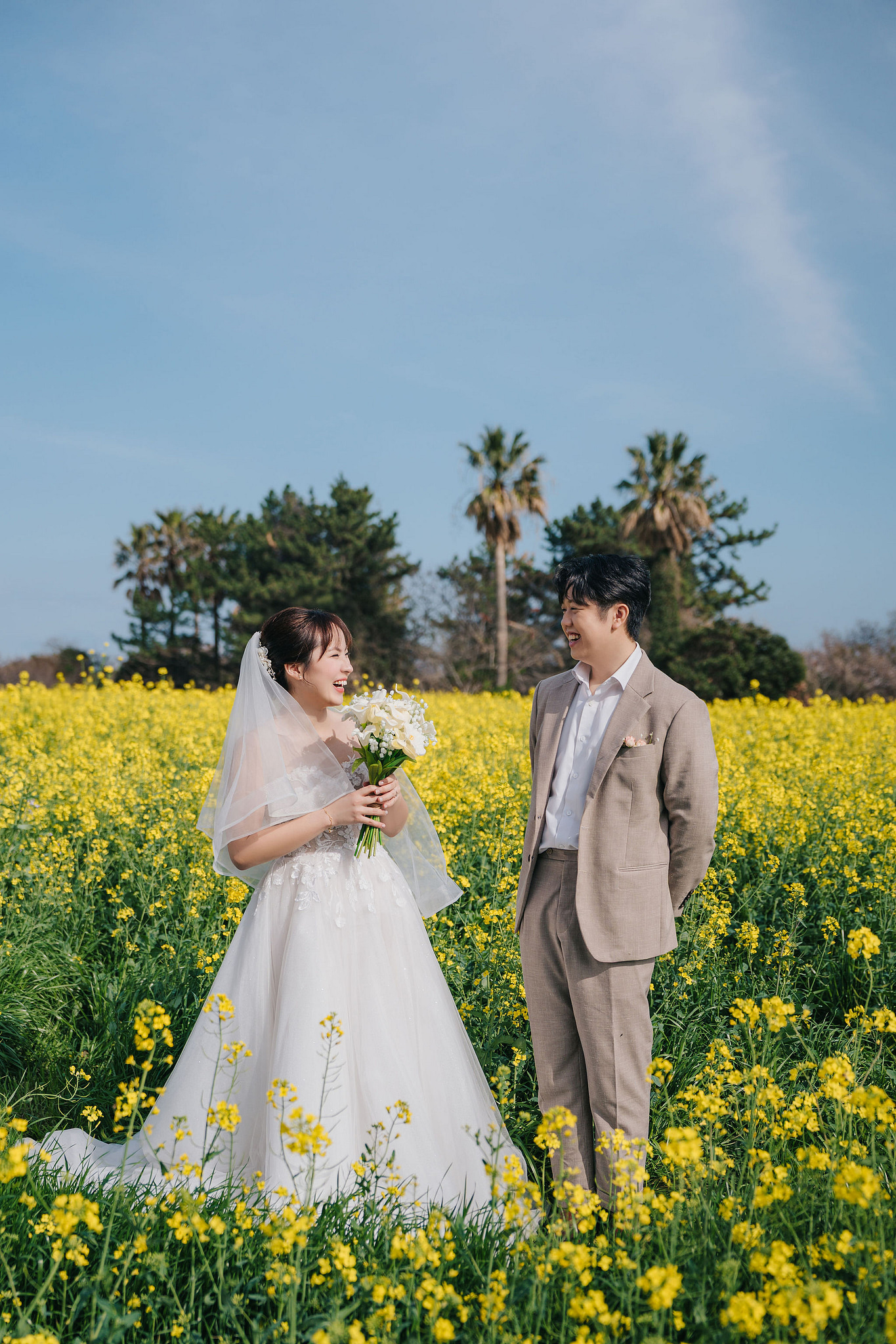 Jeju Pre-Wedding Photoshoot | Wangimae Forest, Yerae Ecological Park & Geumneung Beach at Yerae Ecological Park pre-wedding photo