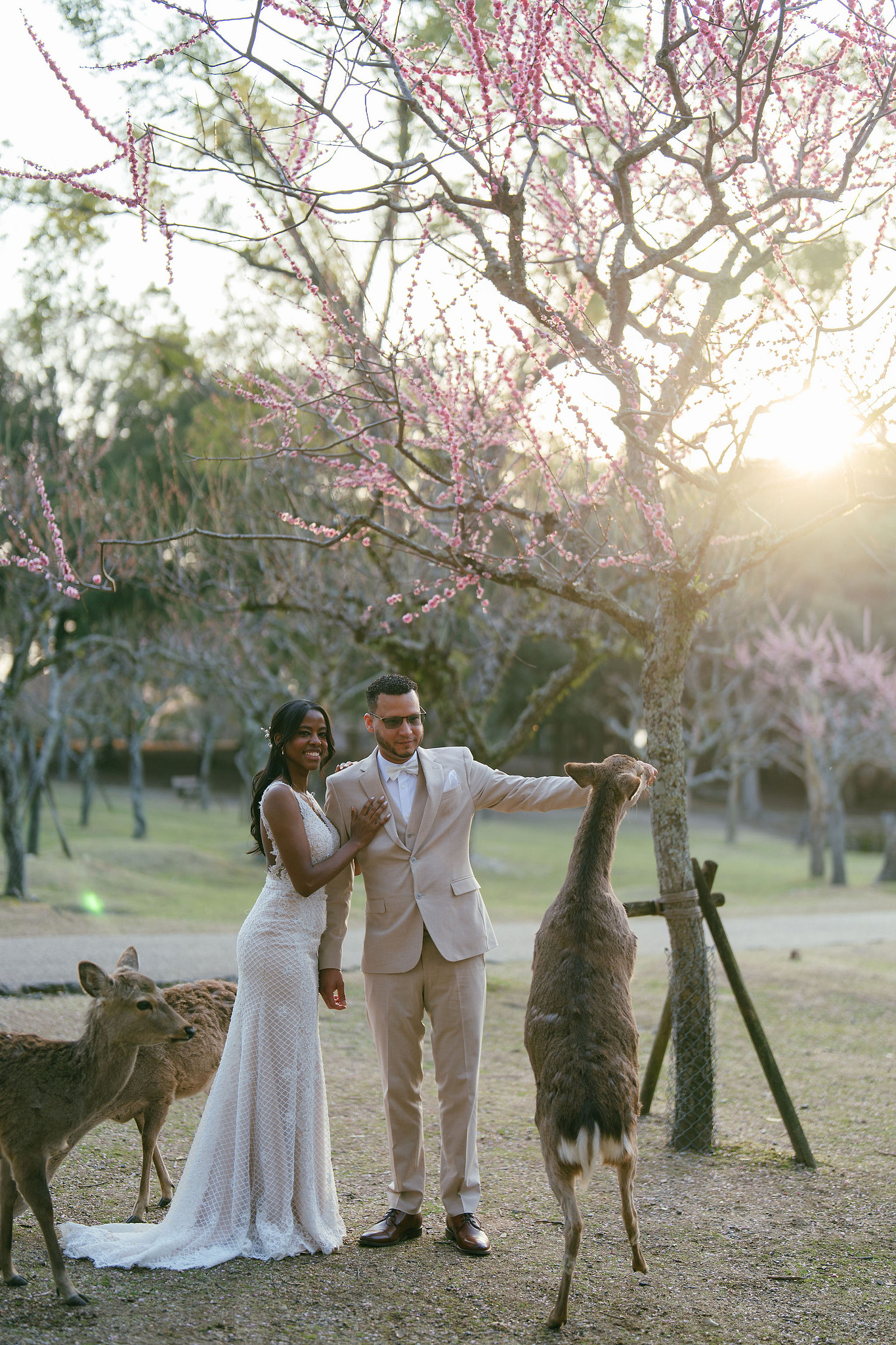 Kyoto Post-Wedding Photoshoot | Gion, Nara Deer Park & Mt. Wakakusa at Wakakusa pre-wedding photo