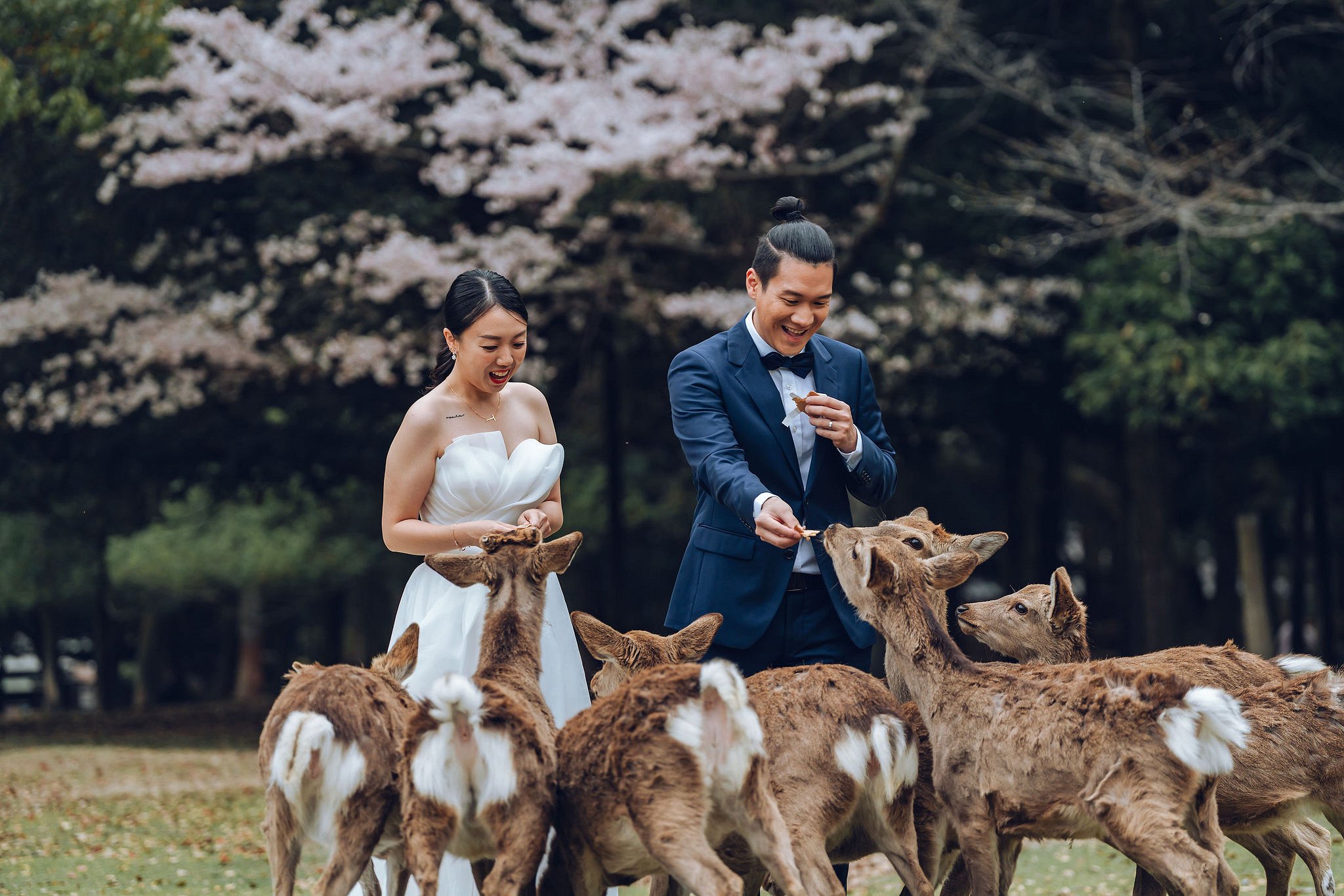 Kyoto Pre-Wedding Photoshoot | Historic Higashiyama Streets, Keage Incline & Nara Park at Nara Park pre-wedding photo