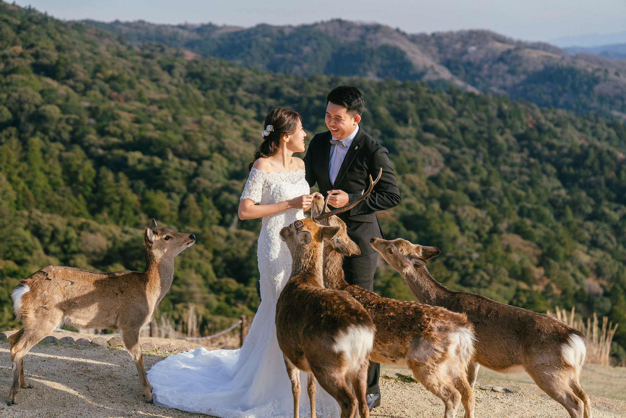 Kyoto Pre-Wedding Photoshoot | Nara Park, Gion & Mount Wakakusa at Mount Wakakusa pre-wedding photo