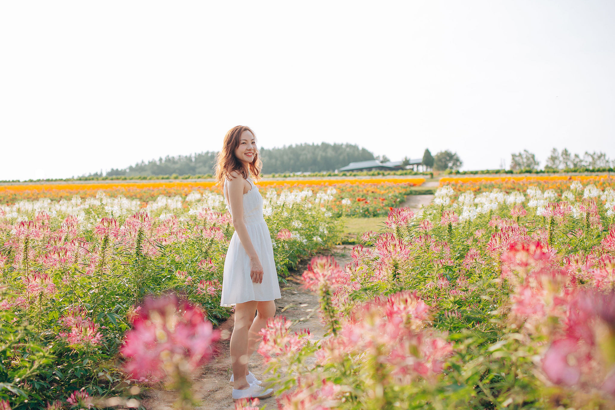 Hokkaido Summer Rainbow Flowers and Railway Track Japan Prewedding Photoshoot at Furano pre-wedding photo