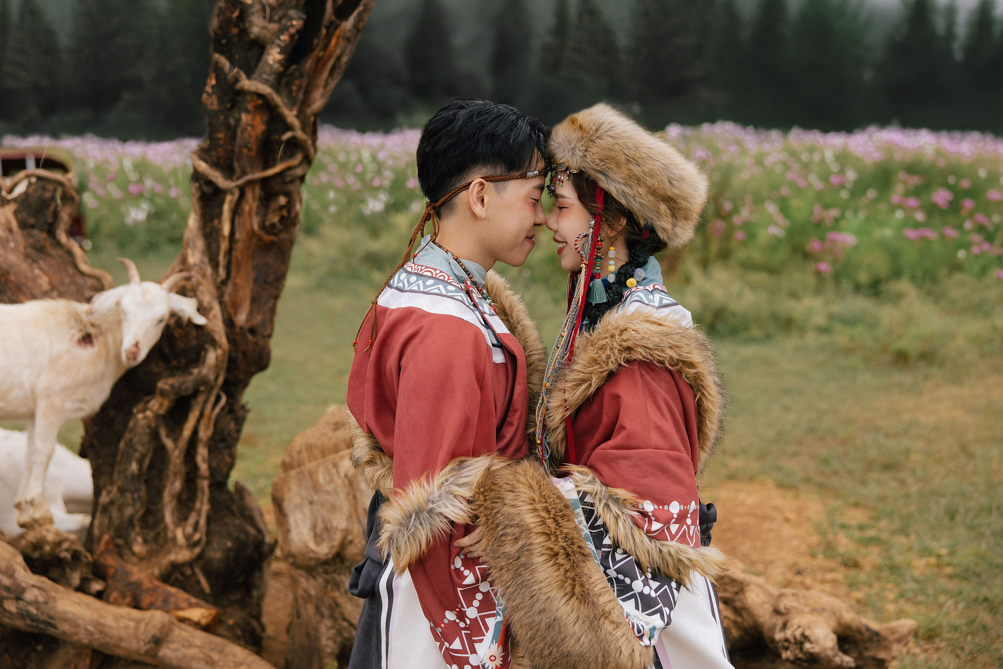 Yunnan Pre-Wedding Photoshoot Lijiang Dragon Jade Mountain Tribal Experience Ancient Town Hanfu at Yunnan Highland Pastures pre-wedding photo