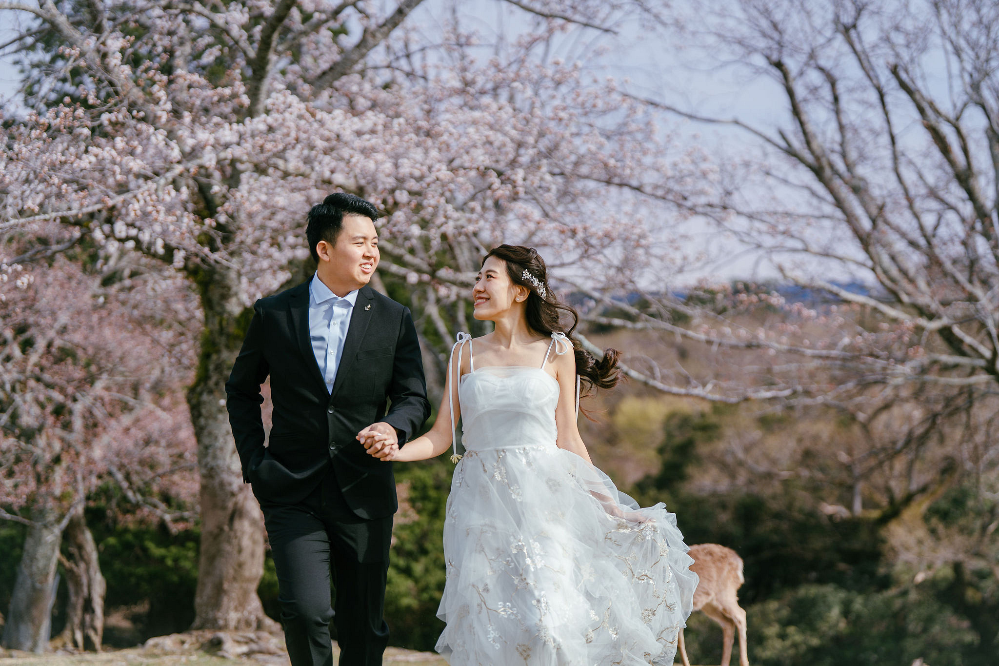 Kyoto Pre-Wedding Photoshoot | Nara Park, Gion & Mount Wakakusa at Nara Park pre-wedding photo
