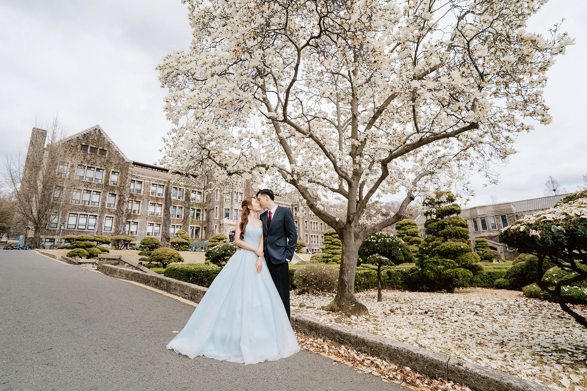 Seoul Pre-Wedding Photoshoot | Yongsan Park, Yonsei University & Kyung Hee University at Yonsei University pre-wedding photo