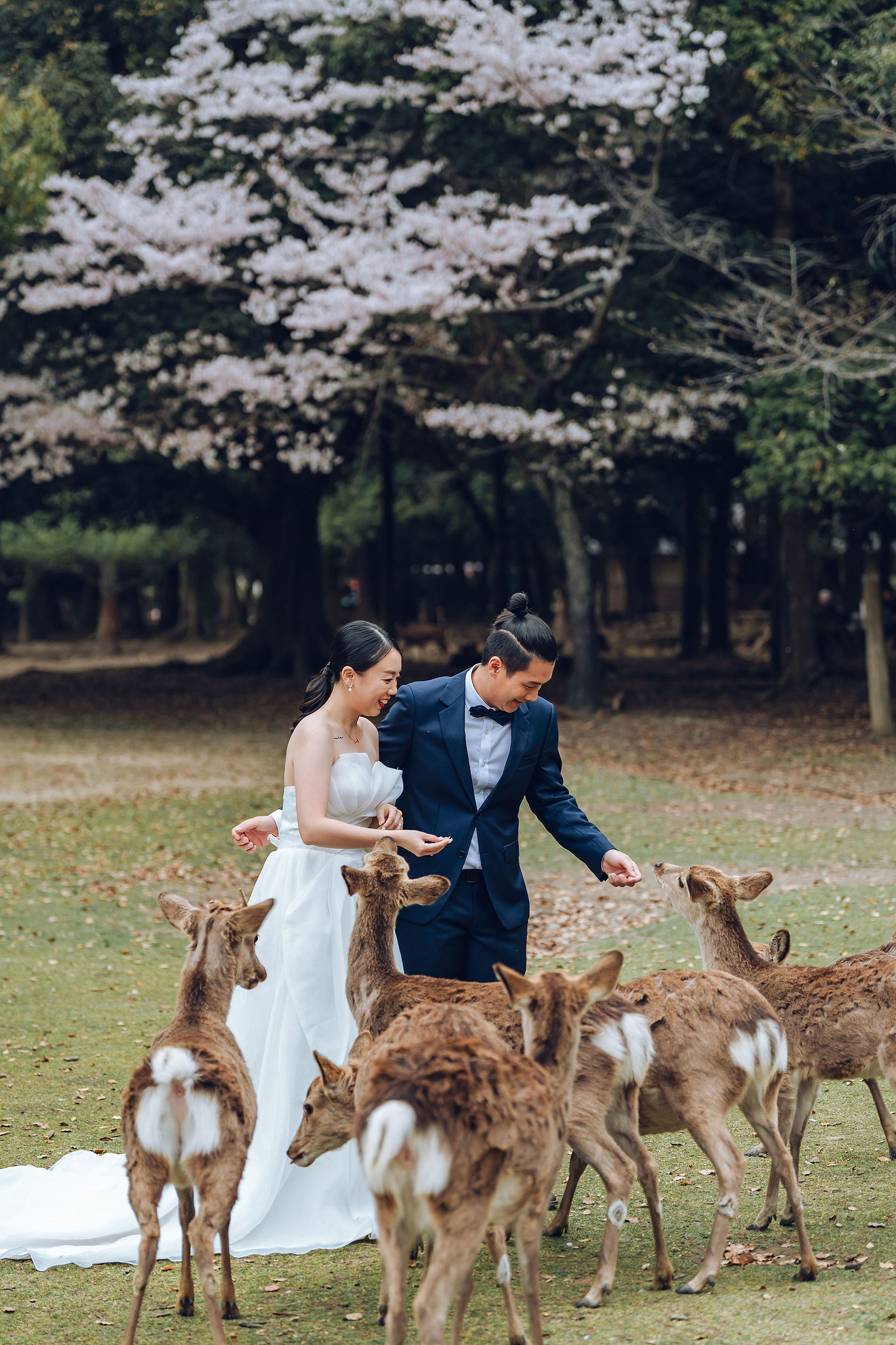 Kyoto Pre-Wedding Photoshoot | Historic Higashiyama Streets, Keage Incline & Nara Park at Nara Park pre-wedding photo