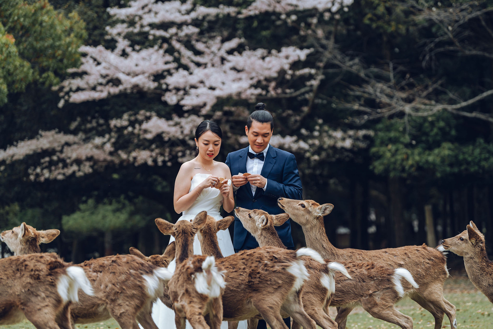 Kyoto Pre-Wedding Photoshoot | Historic Higashiyama Streets, Keage Incline & Nara Park at Nara Park pre-wedding photo