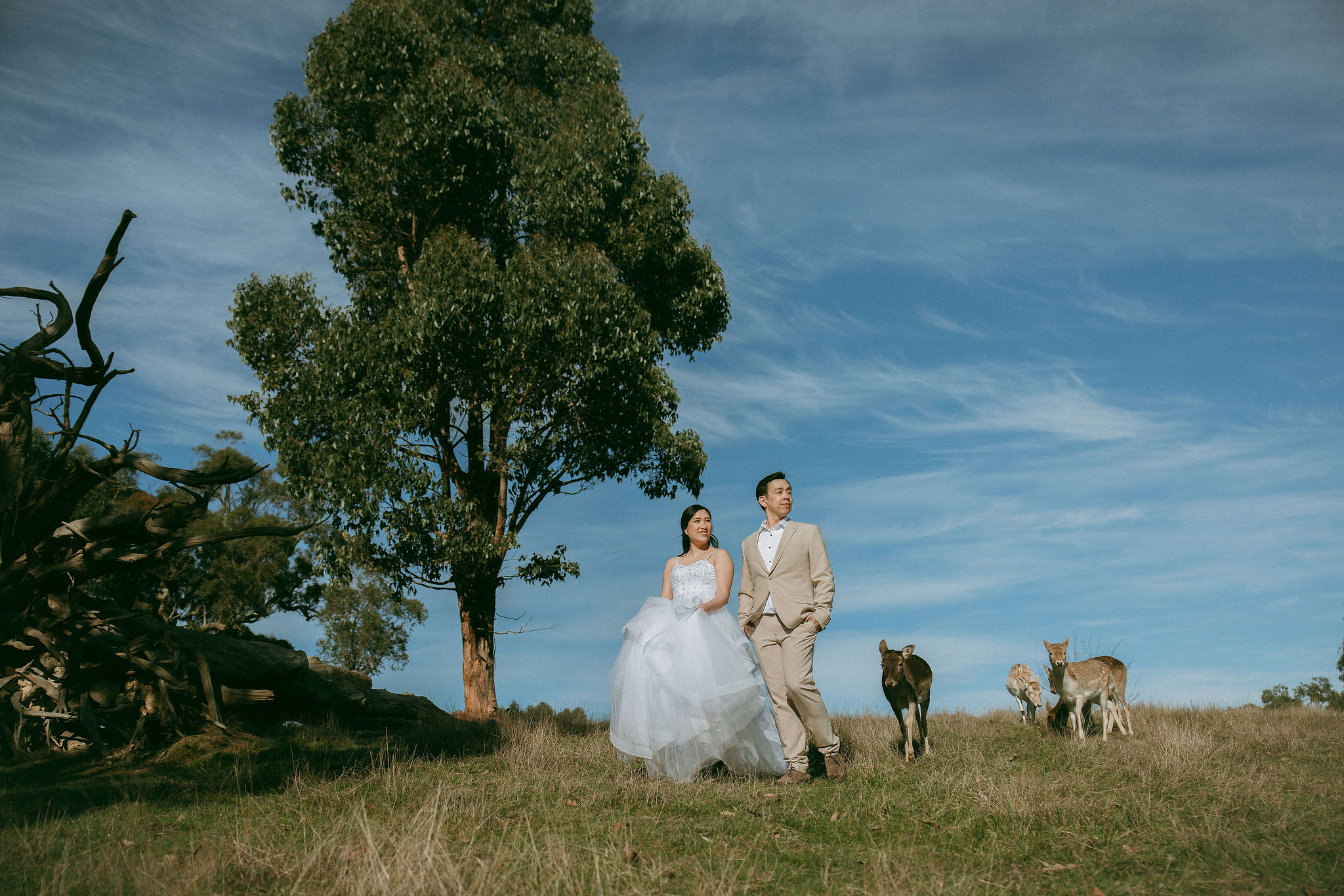 Melbourne Pre-Wedding Photoshoot | Gum Gully Farm, Studley Park & Carlton Gardens at Gum Gully Farm pre-wedding photo