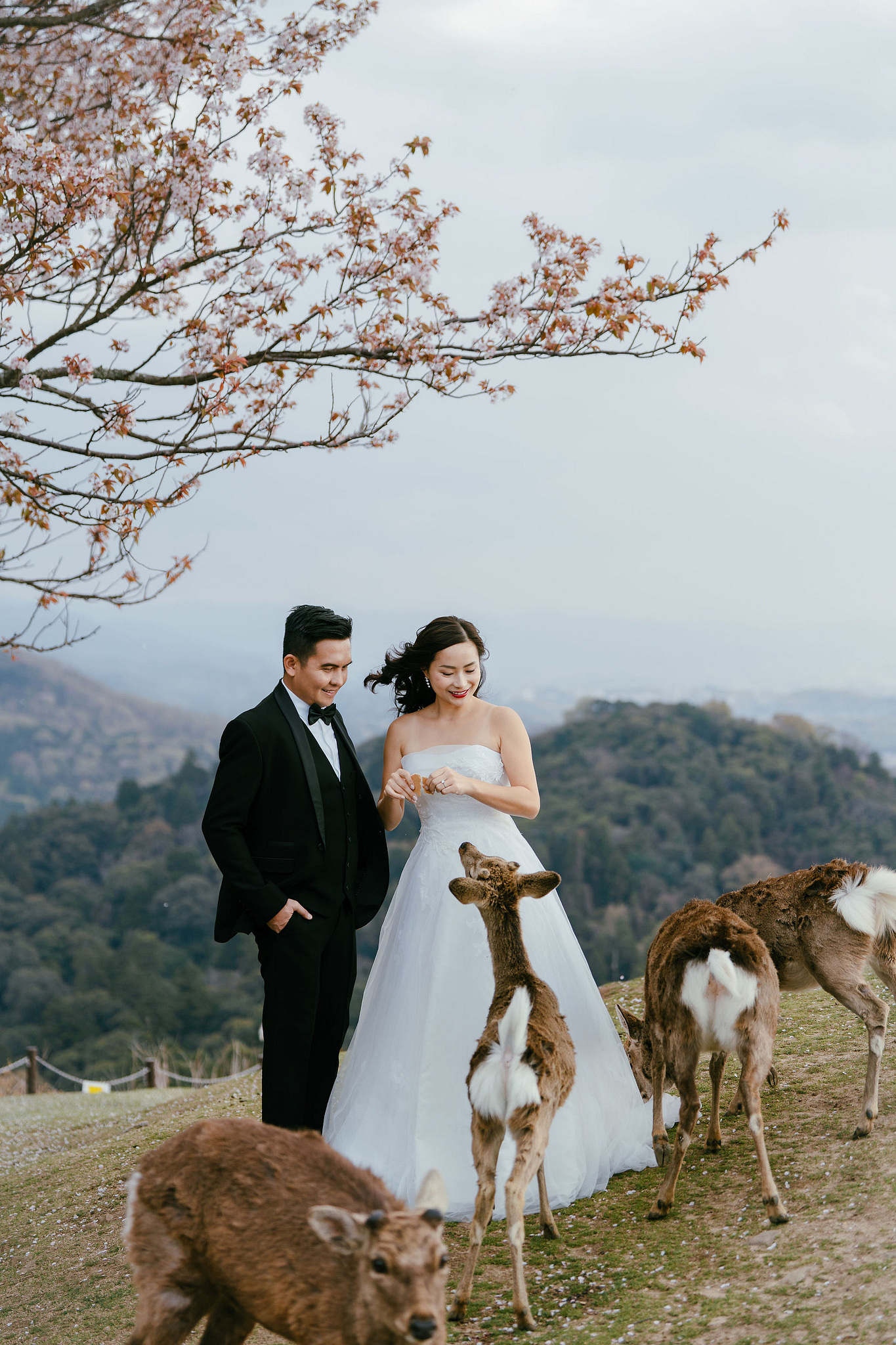 Kyoto Pre-Wedding Photoshoot | Gion Canal, Ninenzaka & Mount Wakakusa at Mount Wakakusa, Nara pre-wedding photo