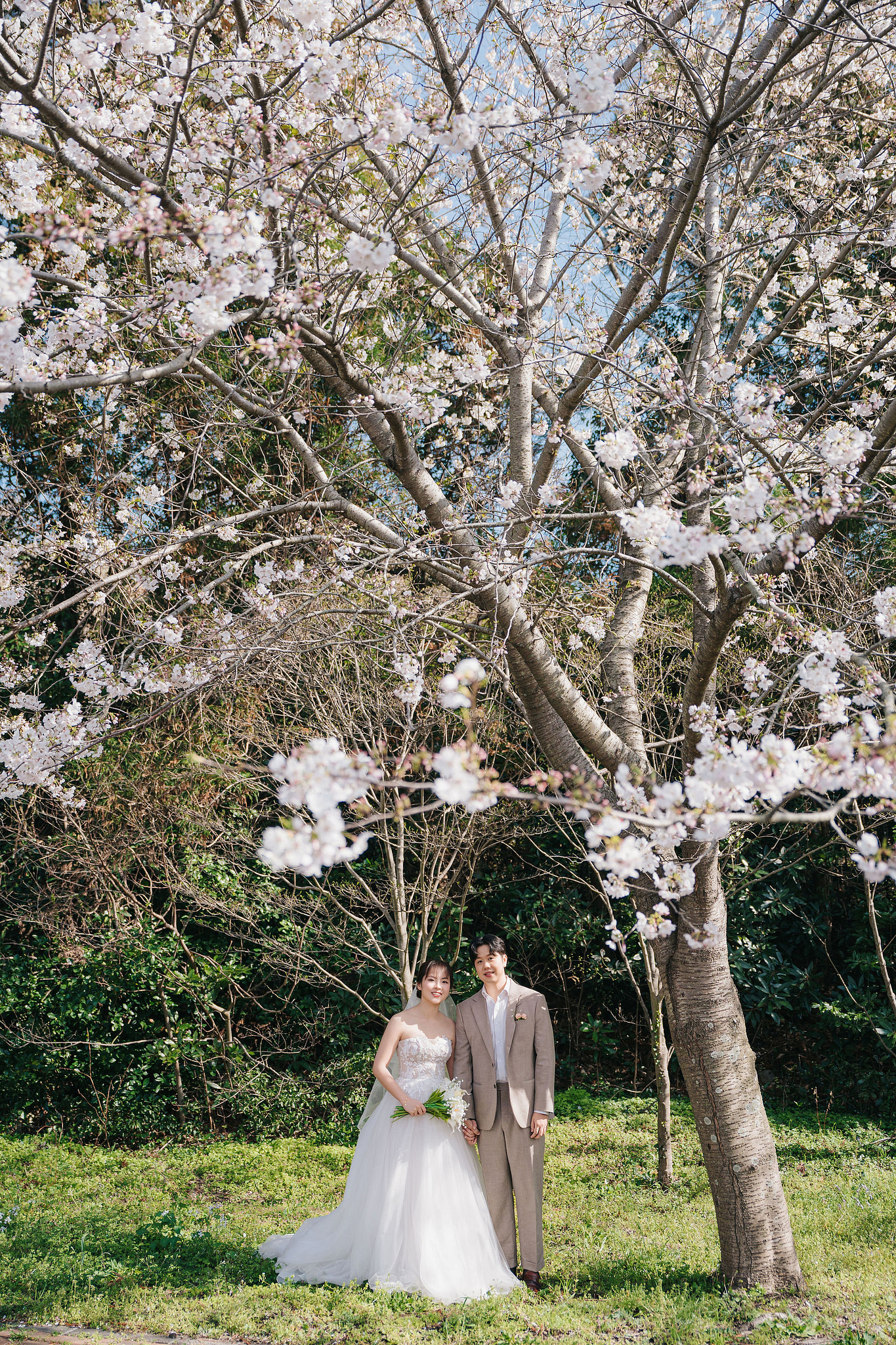 Jeju Pre-Wedding Photoshoot | Wangimae Forest, Yerae Ecological Park & Geumneung Beach at Yerae Ecological Park pre-wedding photo