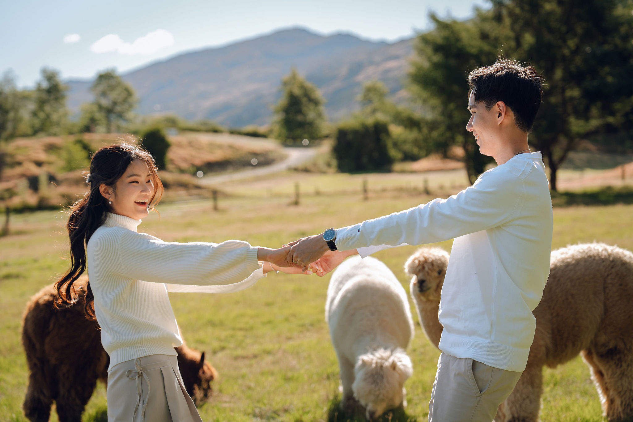 New Zealand Pre-Wedding Photoshoot | Coromandel Peak, Queenstown Highway & Alpaca Farm at Alpaca Farm pre-wedding photo