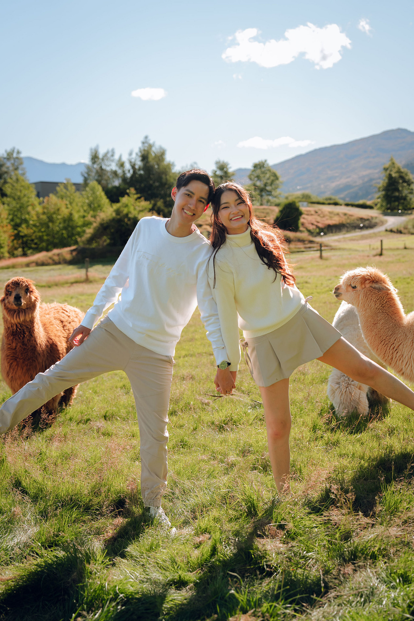 New Zealand Pre-Wedding Photoshoot | Coromandel Peak, Queenstown Highway & Alpaca Farm at Alpaca Farm pre-wedding photo