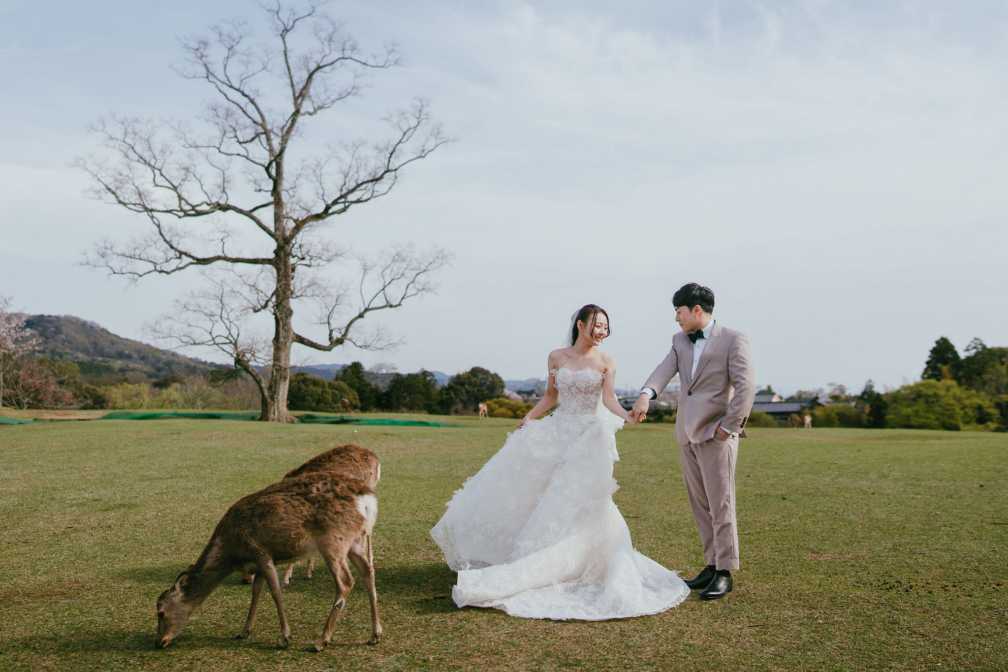 Kyoto Pre-Wedding Photoshoot | Fushimi Inari, Nara Deer Park & Mt. Wakakusa at Mt. Wakakusa pre-wedding photo