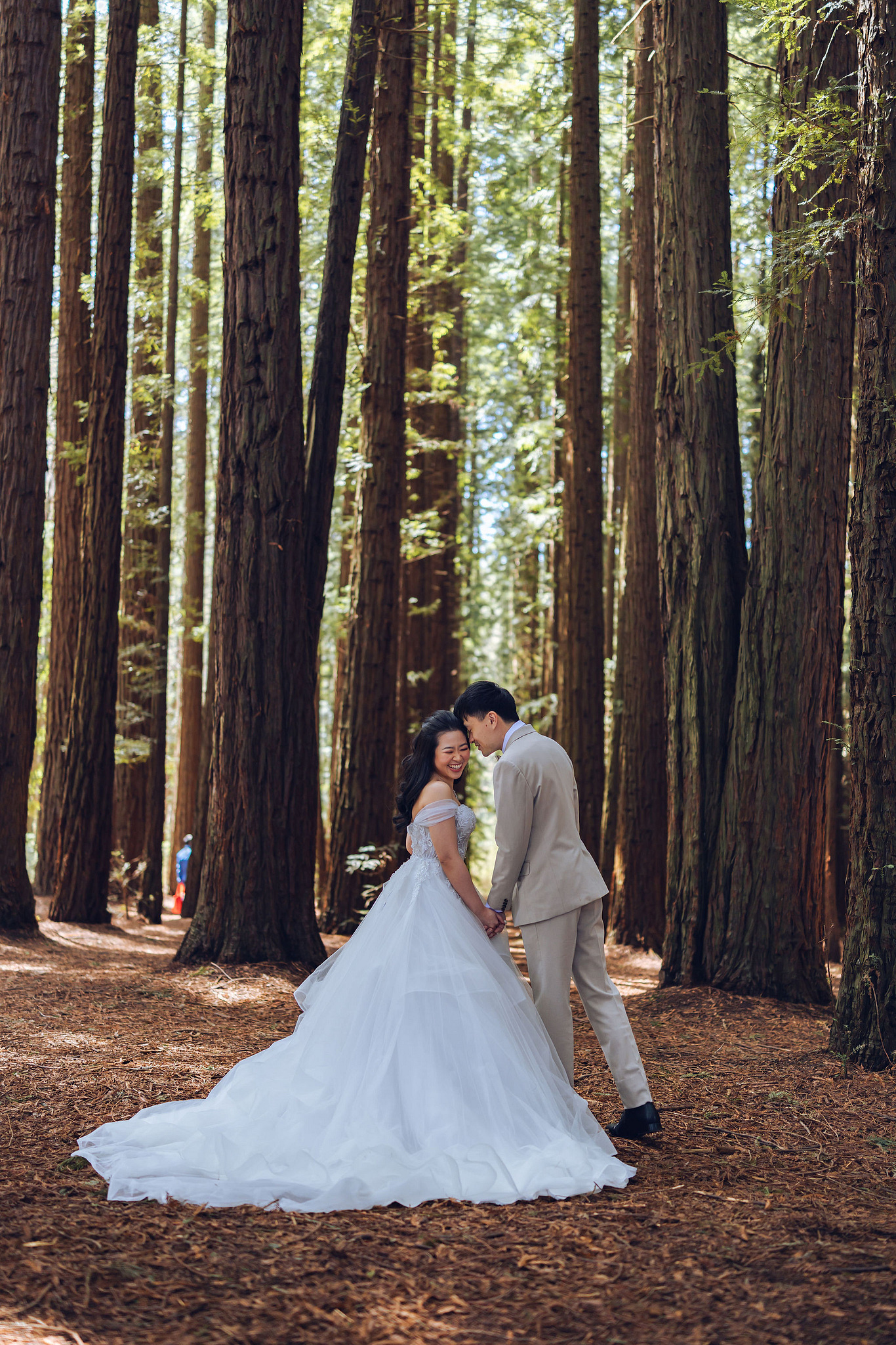 Melbourne Pre-Wedding Photoshoot | Redwood Forest, The Farm & Half Moon Bay at Redwood Forest pre-wedding photo